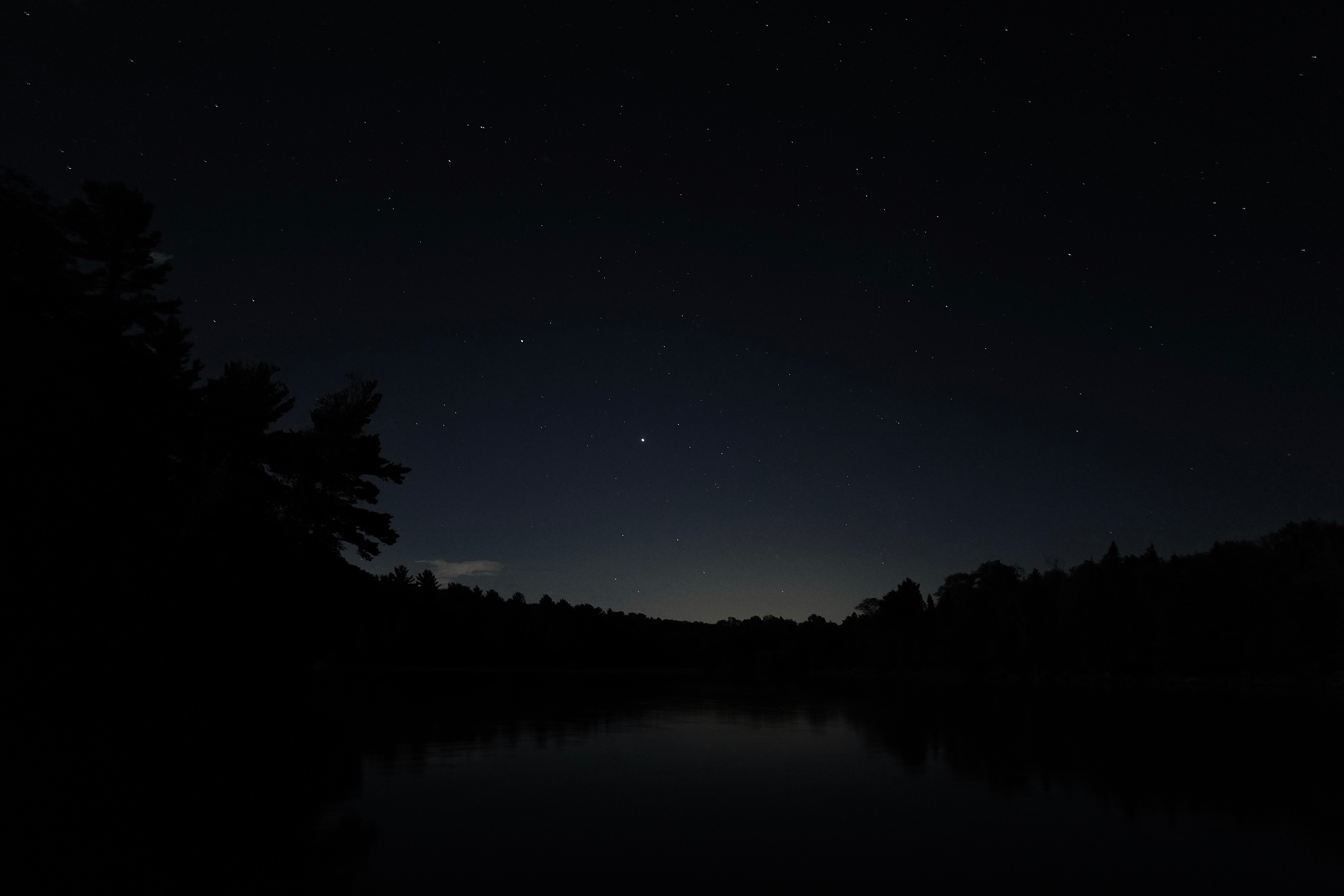 Free HD dark, black, night, lake, silhouette, branches