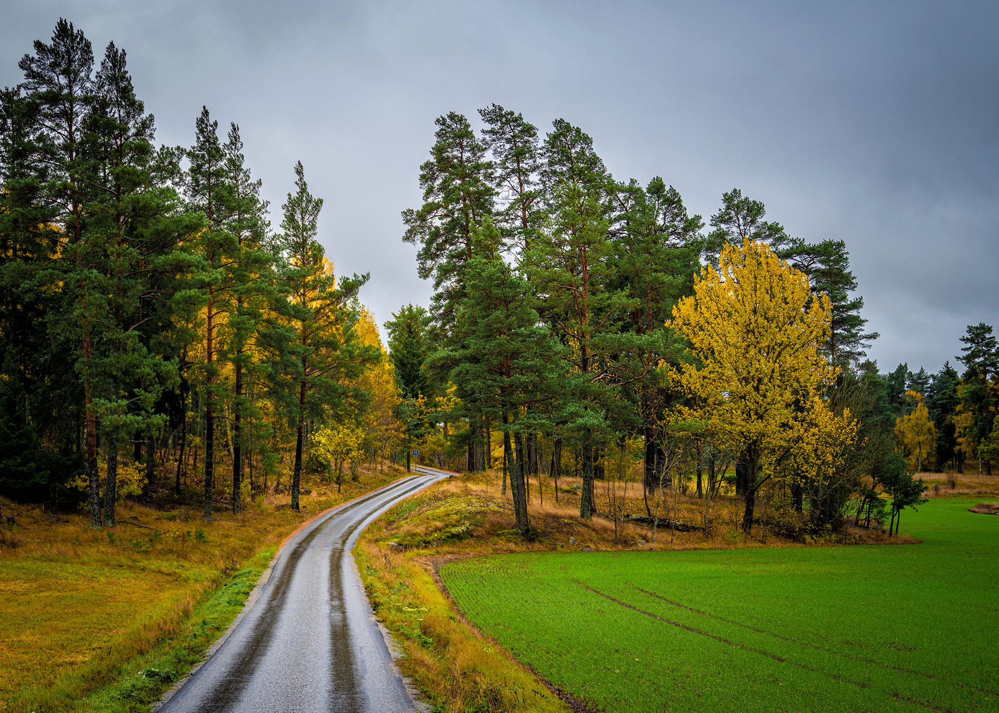 Download mobile wallpaper Road, Forest, Fall, Field, Sweden, Man Made for free.