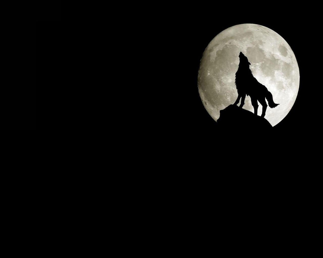 Скачать картинку Животные, Луна, Волки в телефон бесплатно.
