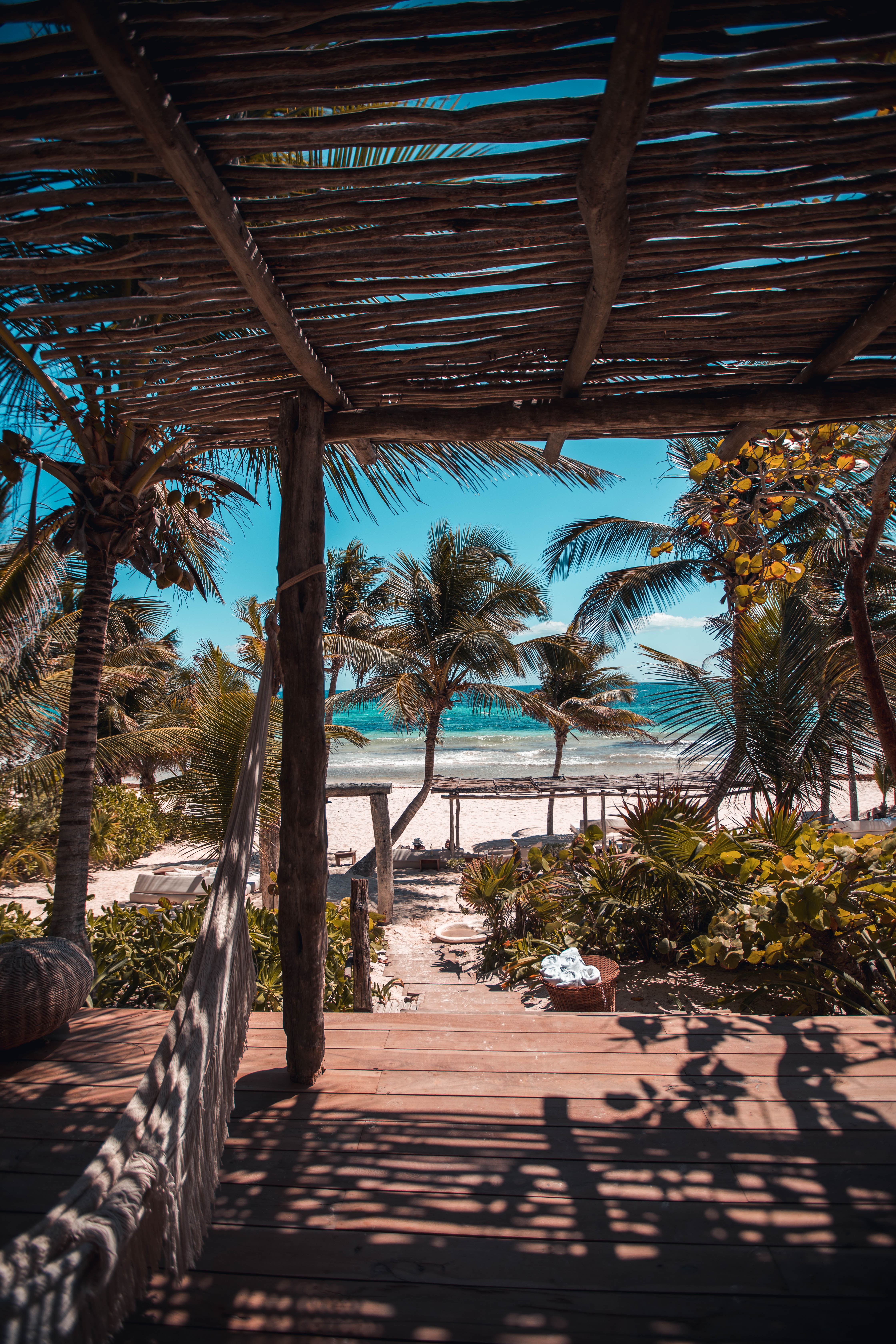 beach, summer, palms, nature, relaxation, rest, tropics HD wallpaper