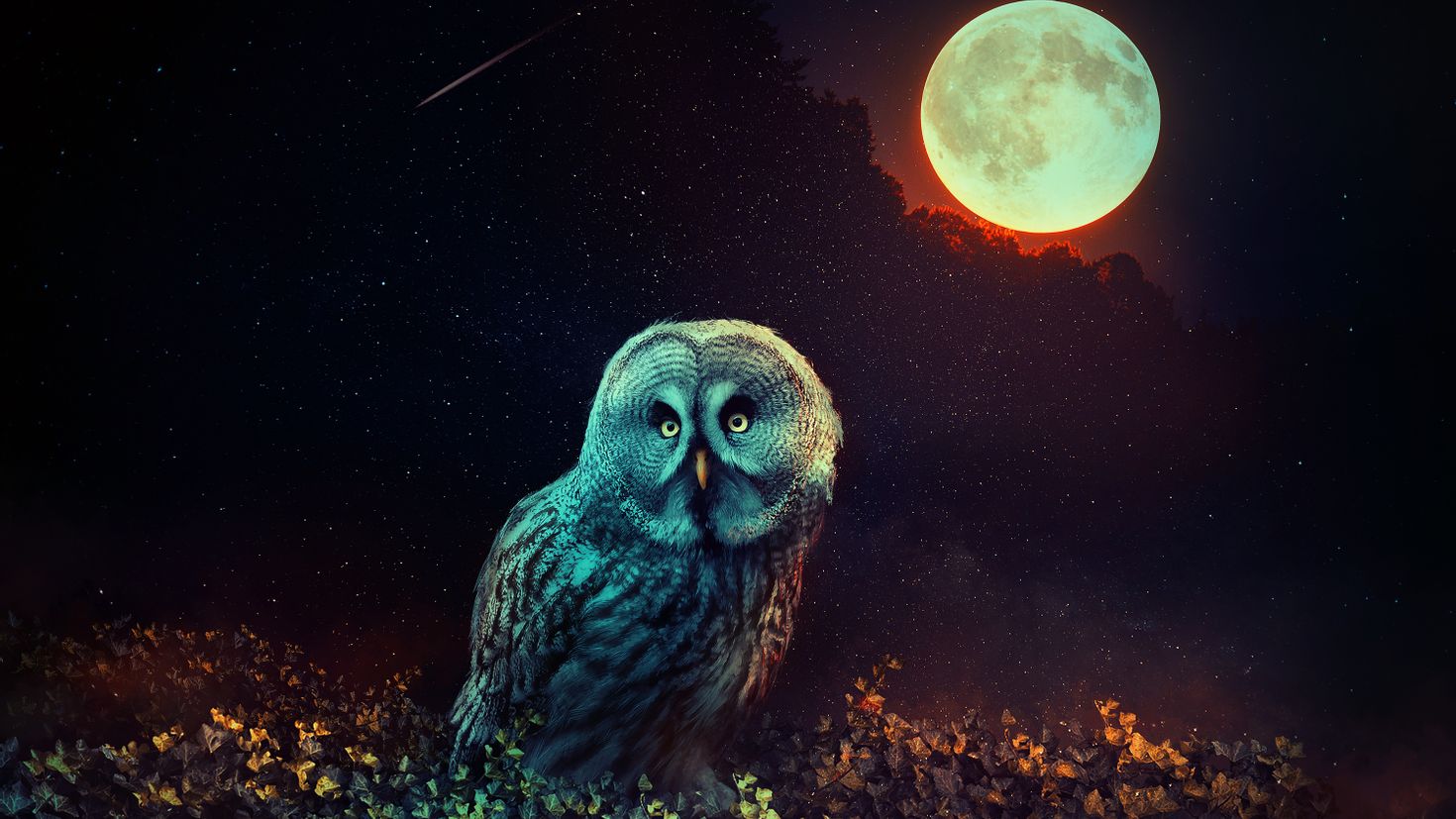 Сова ночное животное. Ночная Сова.(Night Owl).1993. Красивая Сова. Мистическая Сова. Филин ночью.