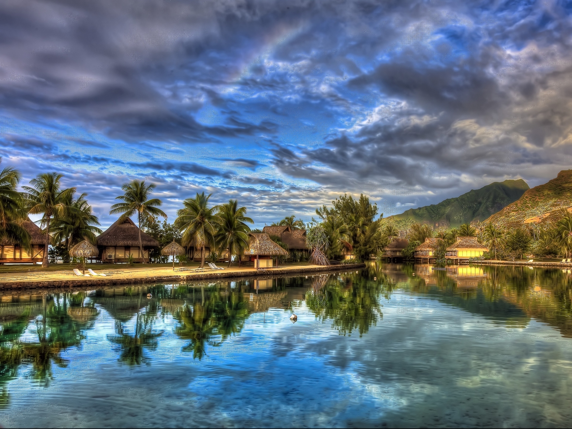 palms, landscape, sky, blue Free Stock Photo