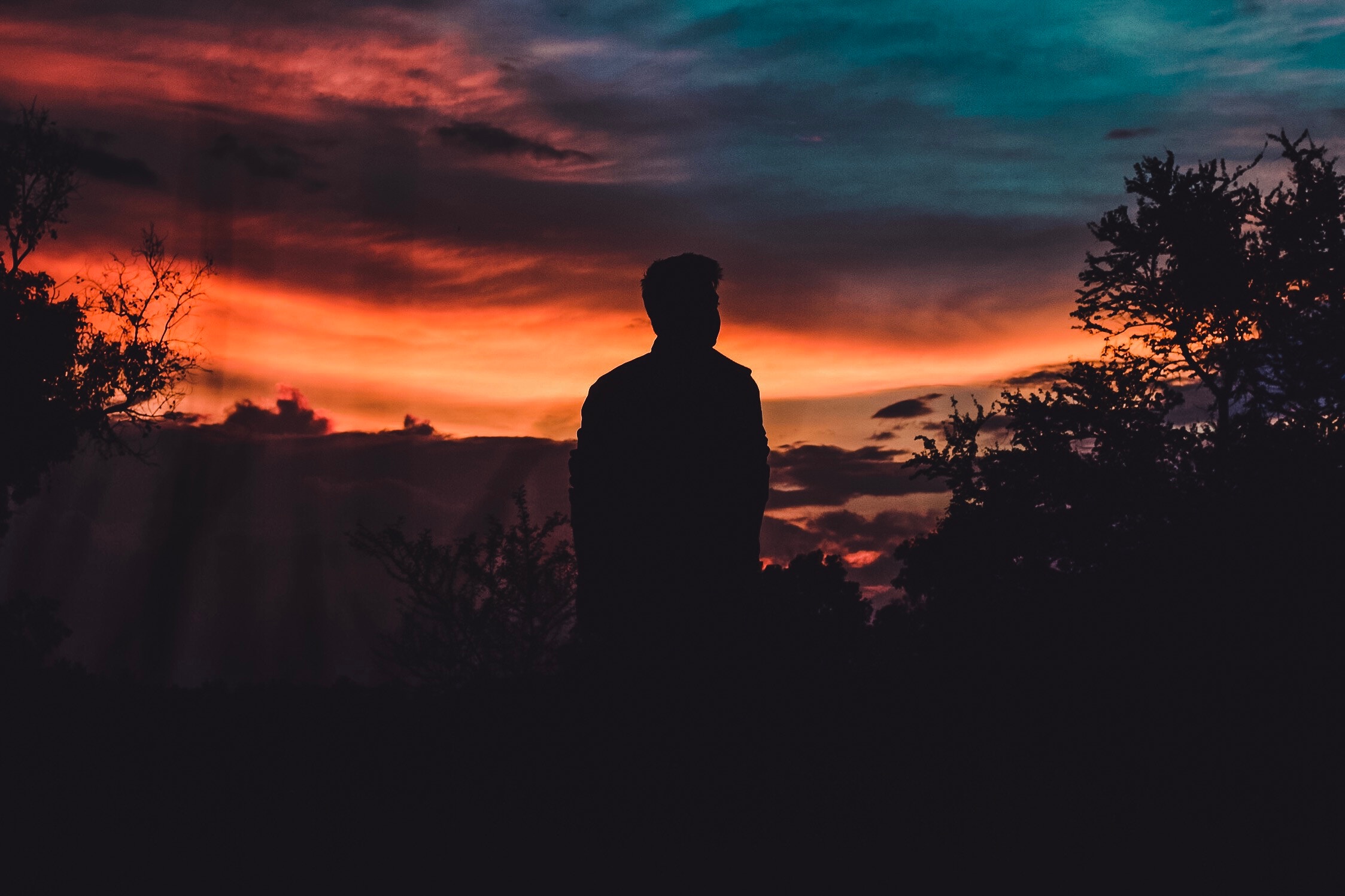 sunset, human, person, dark, sky, silhouette cellphone