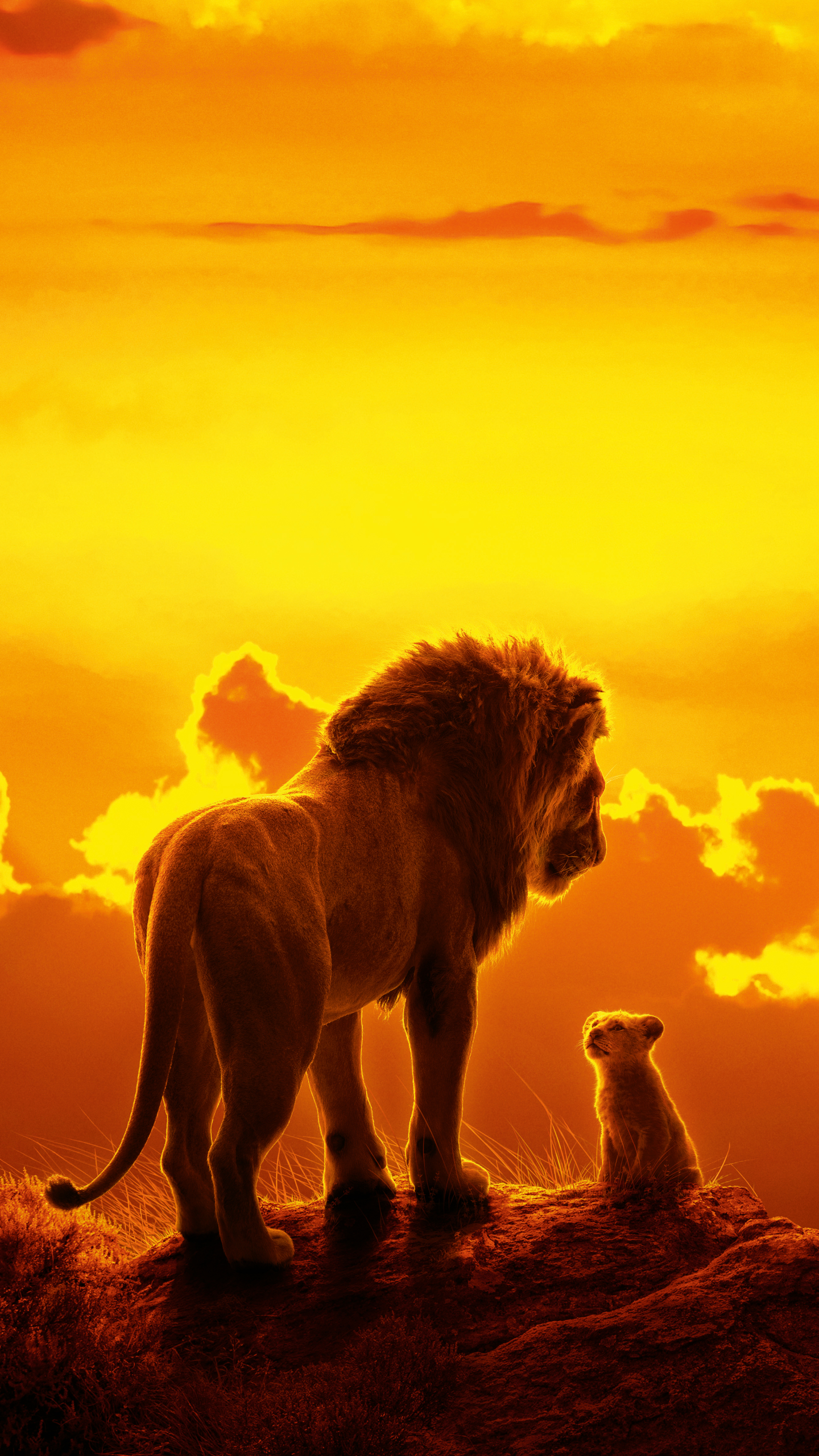 Wallpaper Simba - Lion kinG by Hawkblade09 on DeviantArt