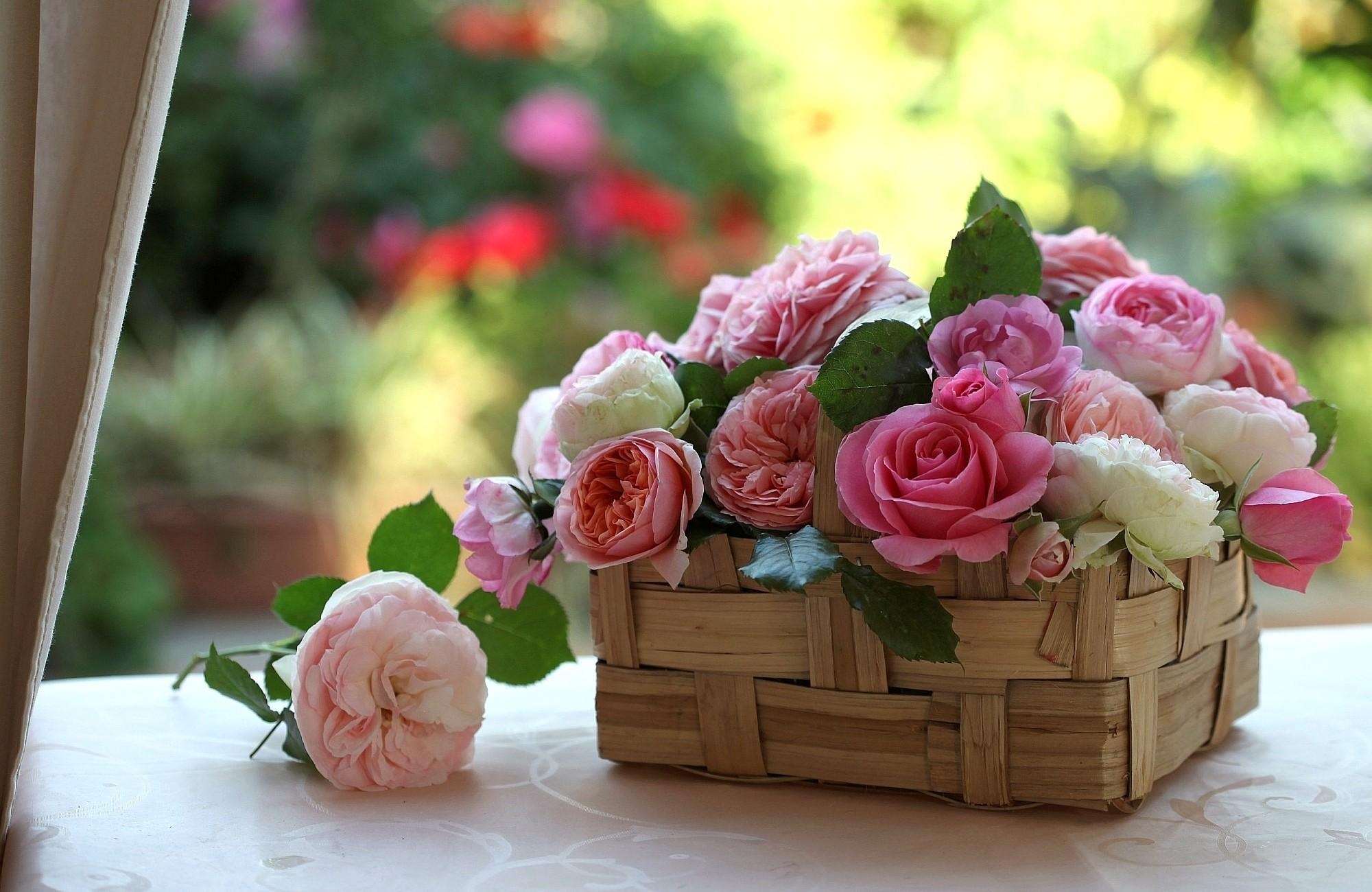 Скачать обои бесплатно Цветы, Красота, Розы, Бутоны, Корзинка картинка на рабочий стол ПК