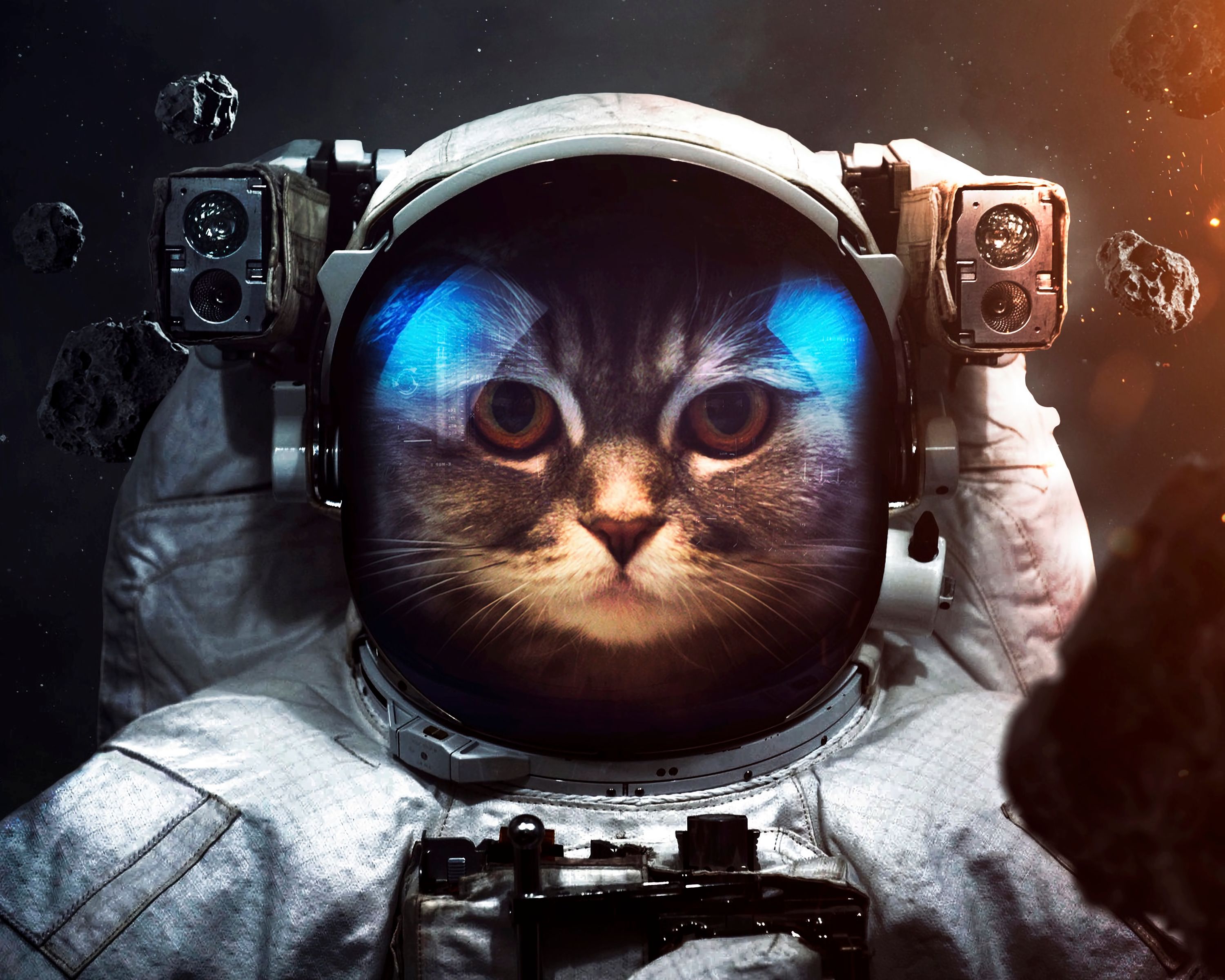 80129 baixar papel de parede universo, animais, gato, cosmonauta, traje espacial - protetores de tela e imagens gratuitamente