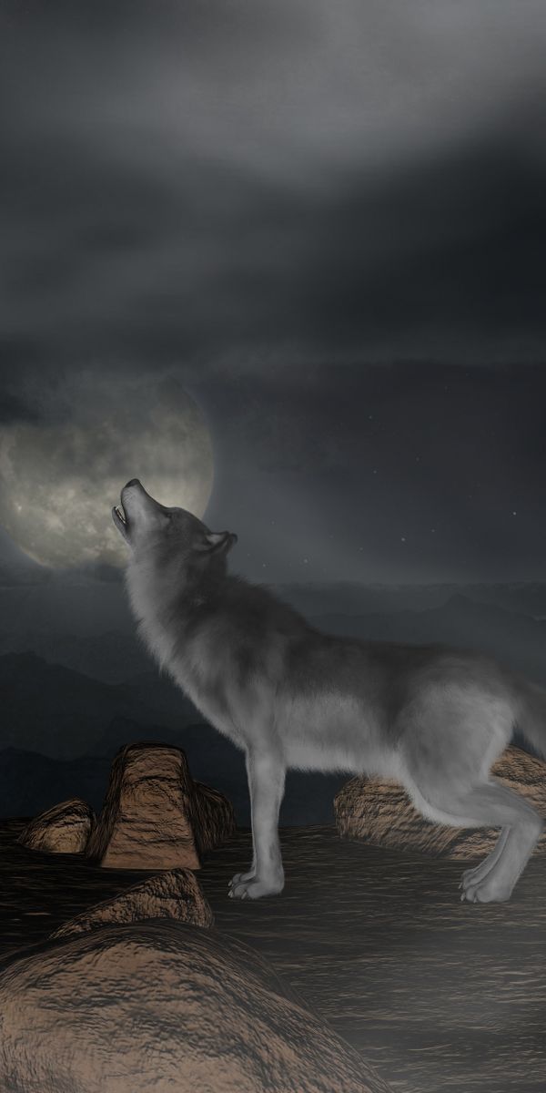 Сирены вой и теперь там ждут. Оборотень воет. Волк и Луна. Оборотень воет на луну. Оборотень аоющийна луну.