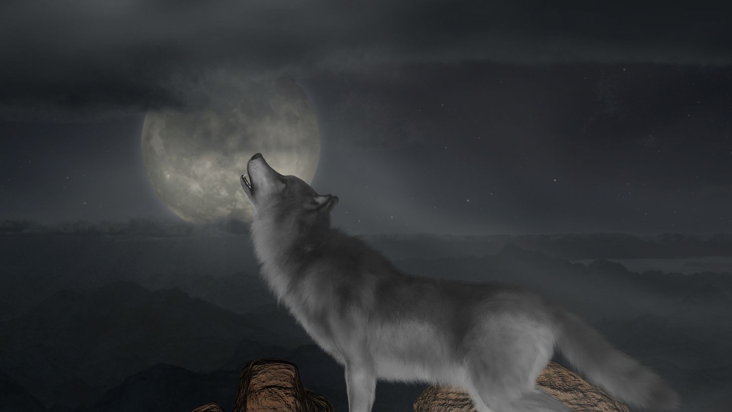 Волк под луной