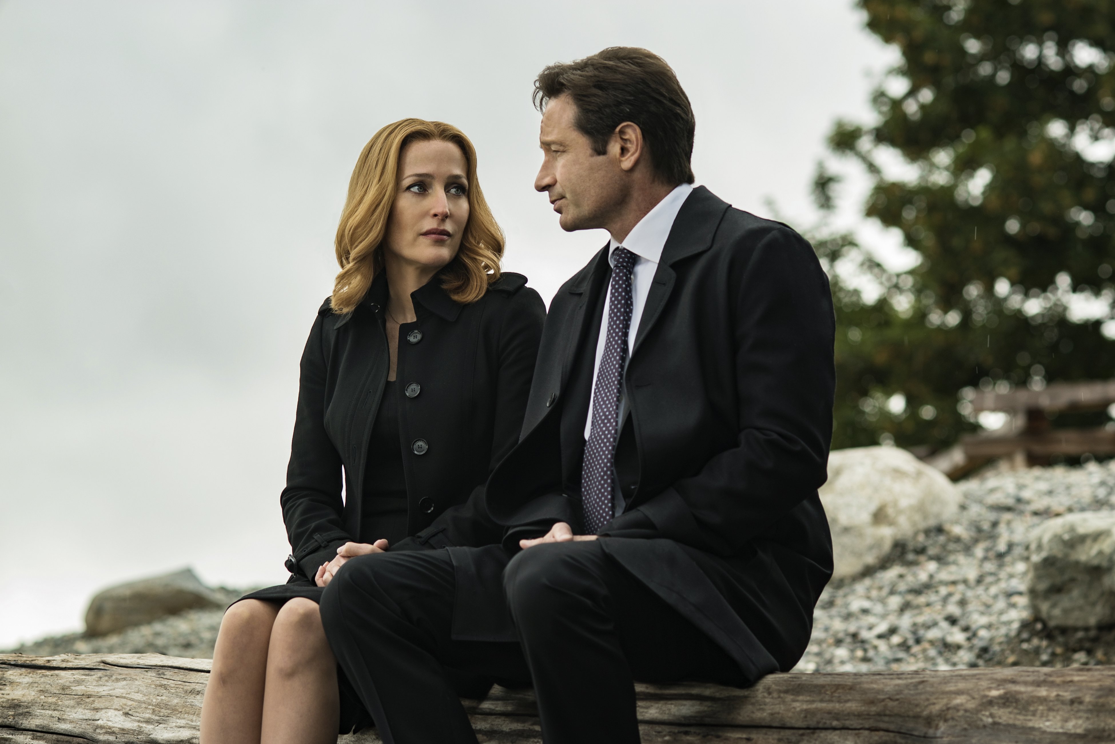 wallpapers the x files, tv show, dana scully, david duchovny, fox mulder, gillian anderson