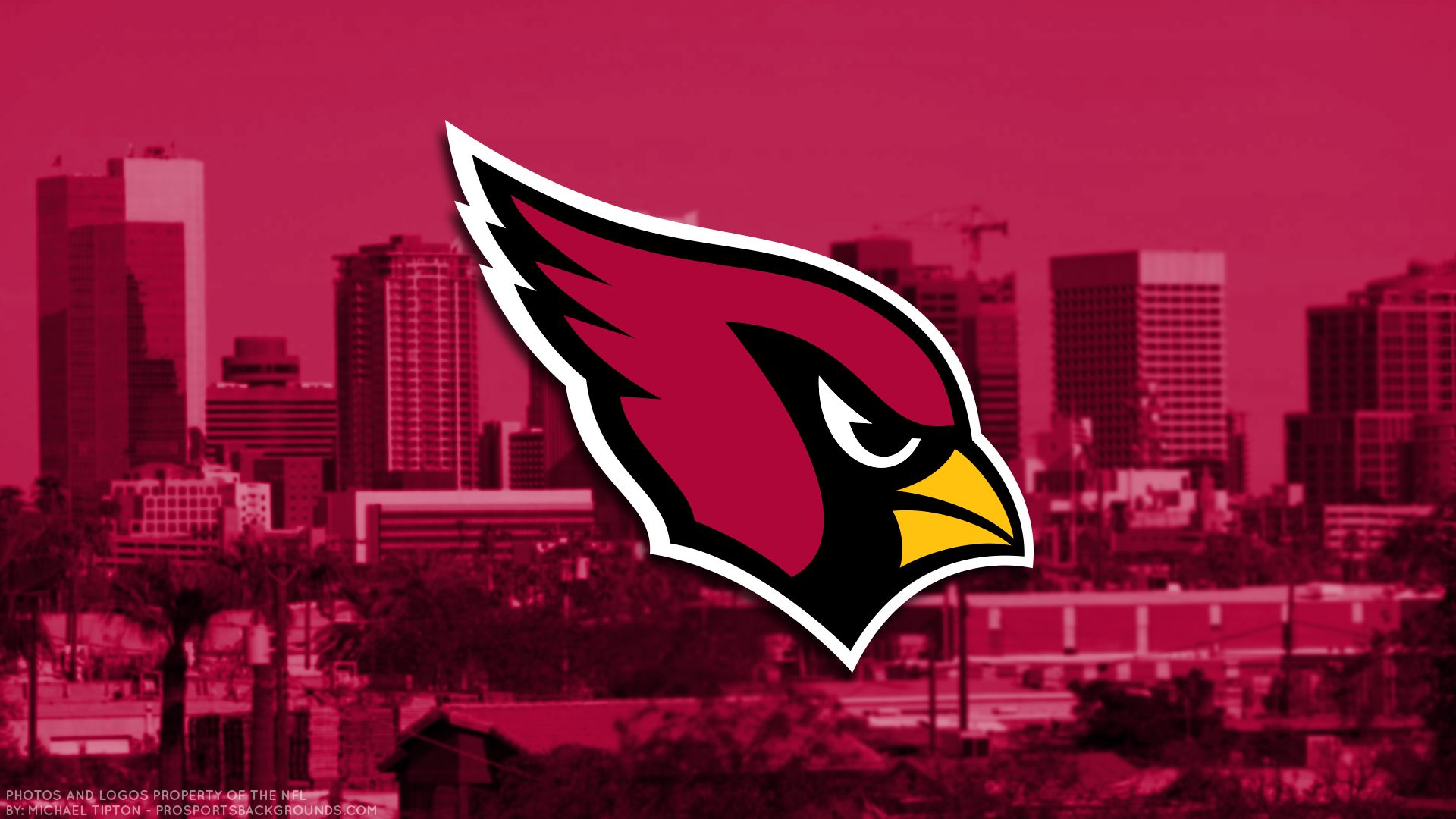 Chill Cardinals Phone Wallpaper : r/AZCardinals