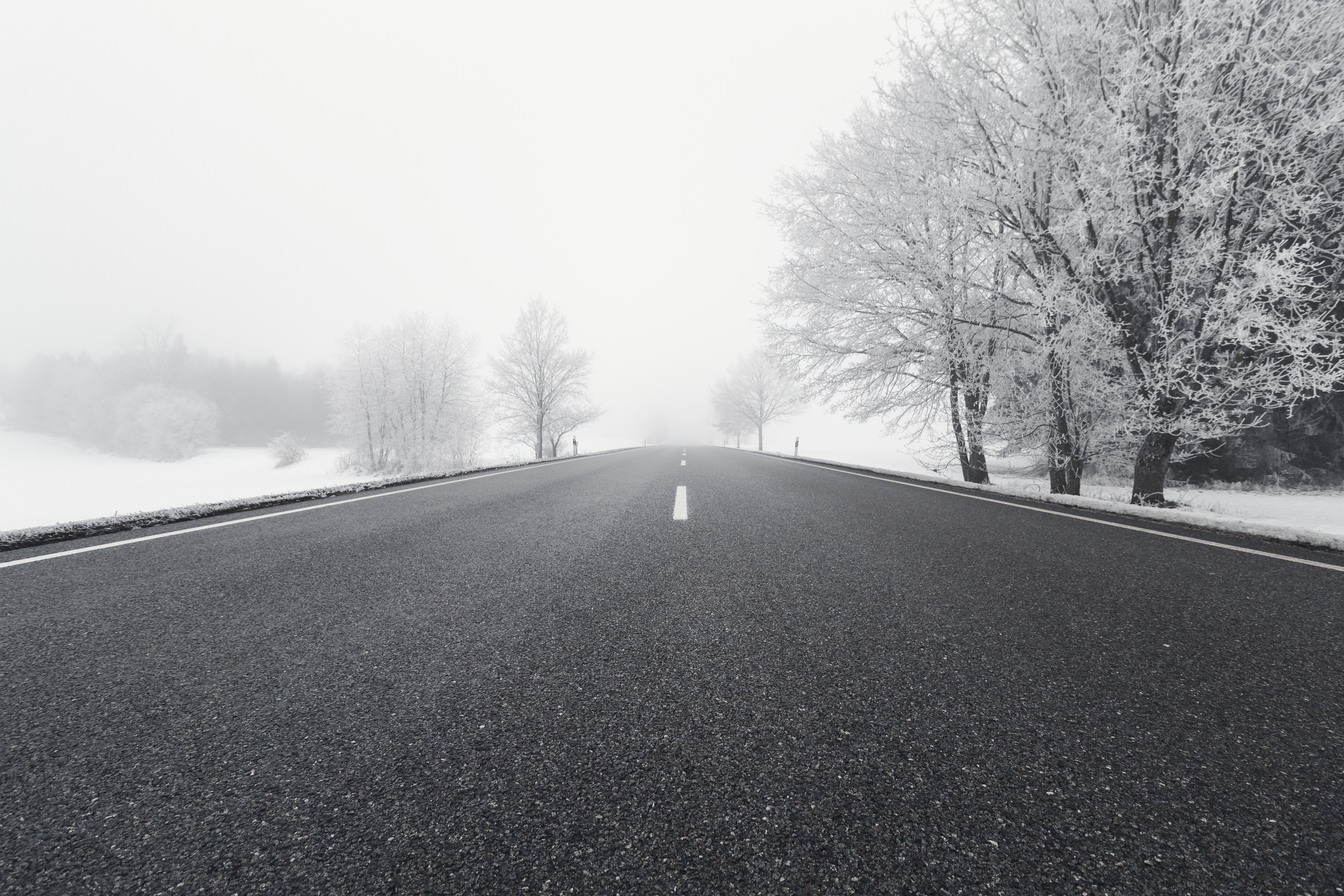 winter, nature, trees, snow, road, fog, bw, chb, direction