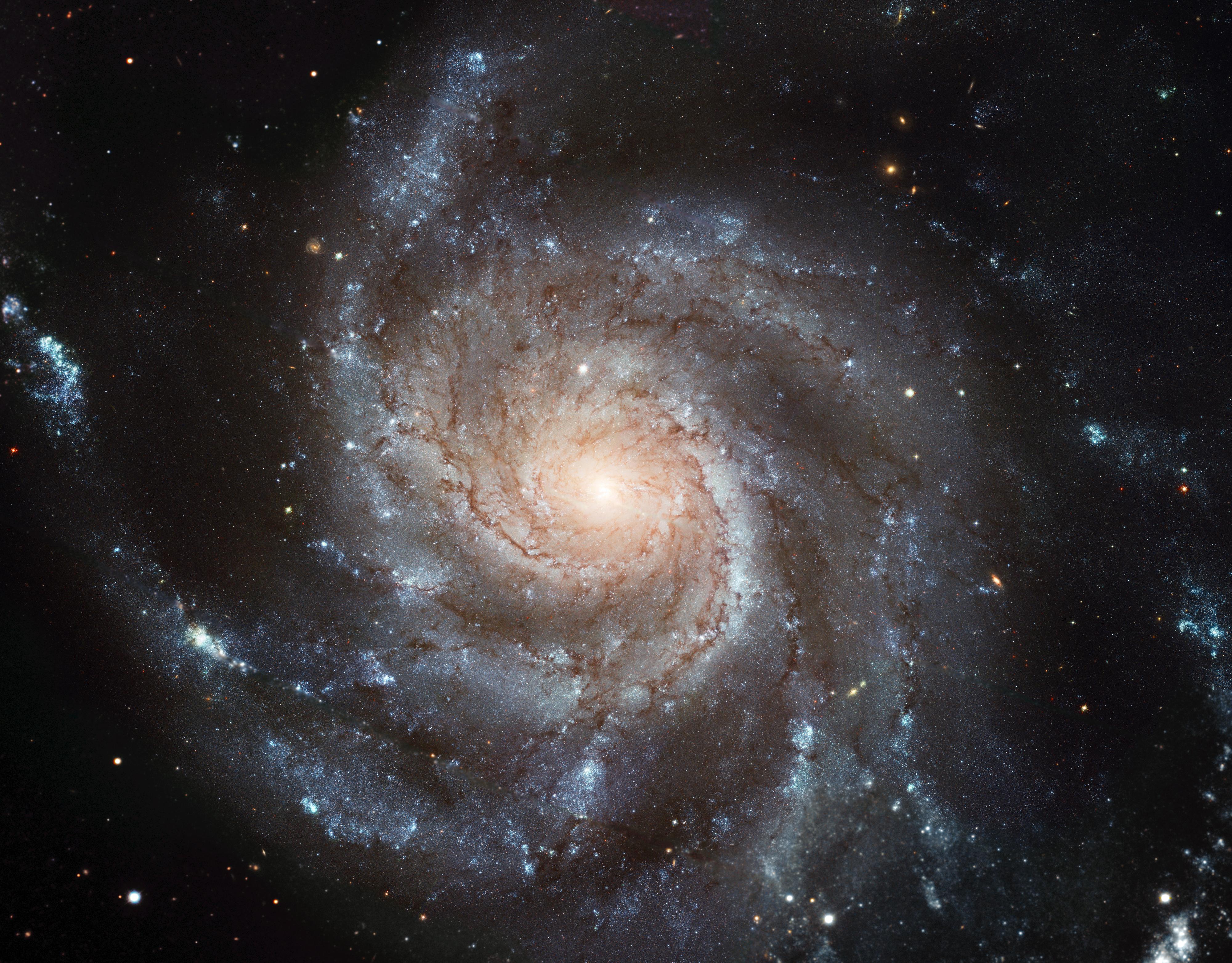 astronomy, galaxy, pinwheel galaxy, universe, stars, shine, brilliance, spiral, galaxy turntable 4K