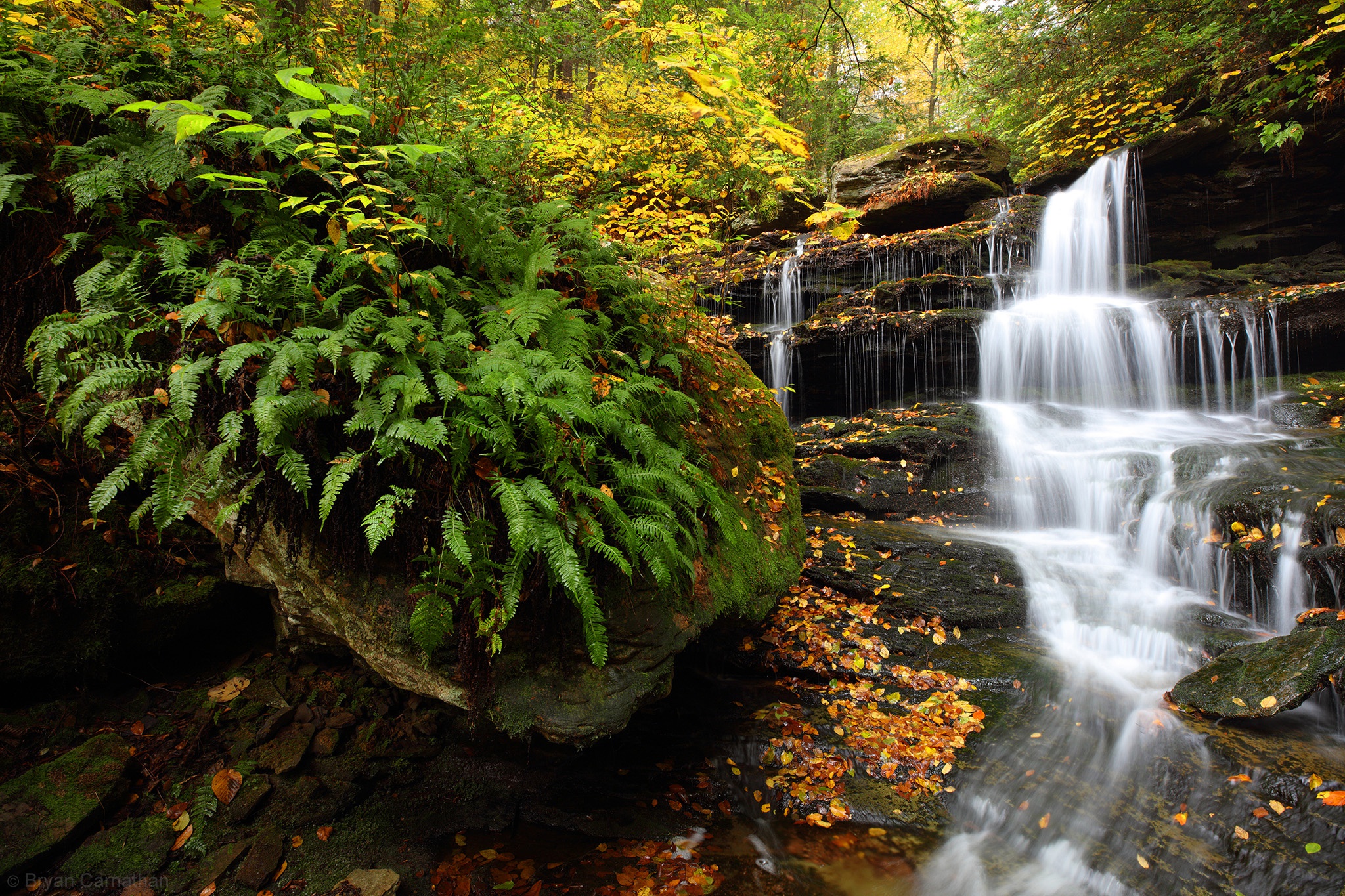 Ricketts Glen State Park