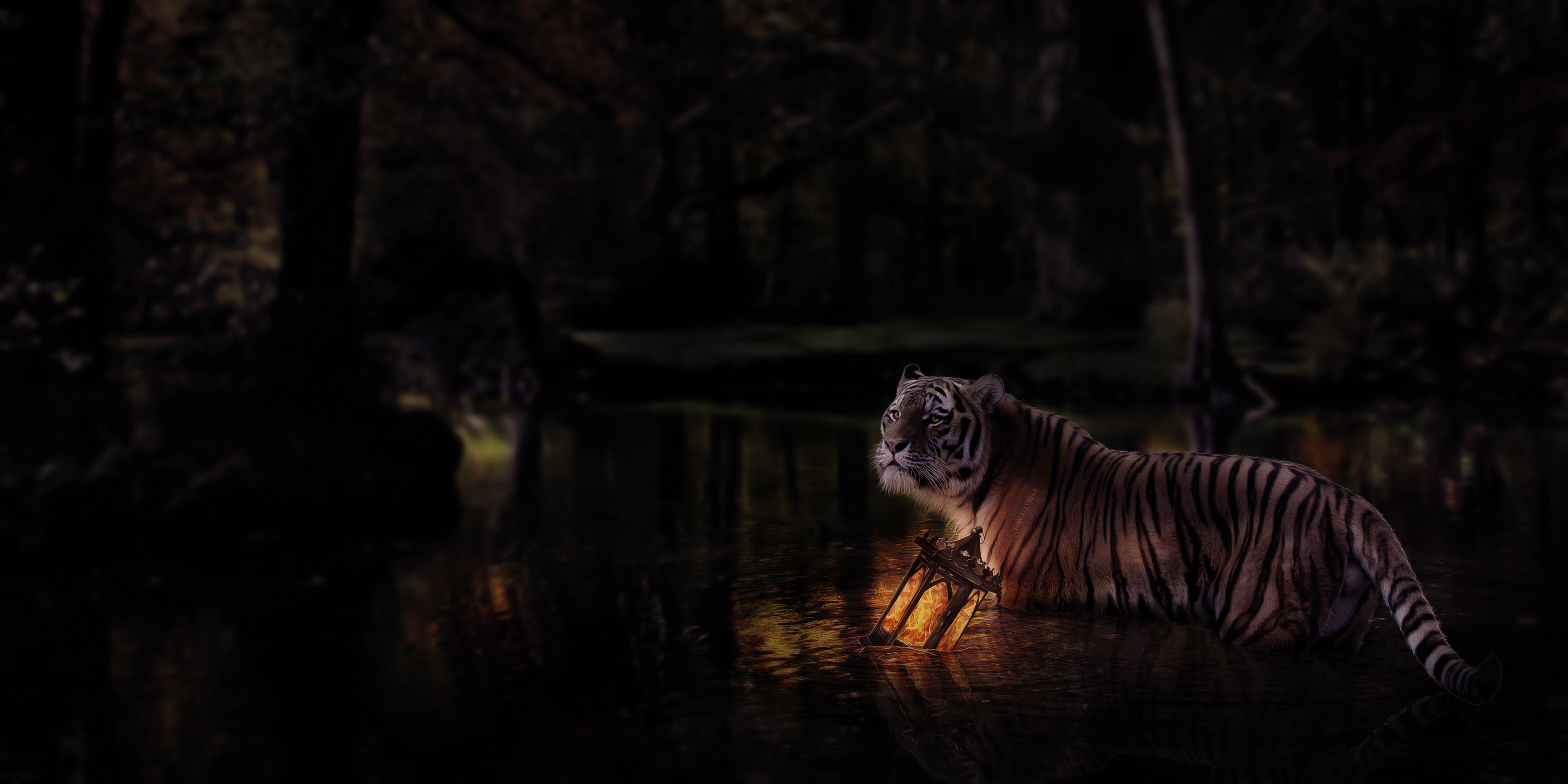 Ночная тигрица