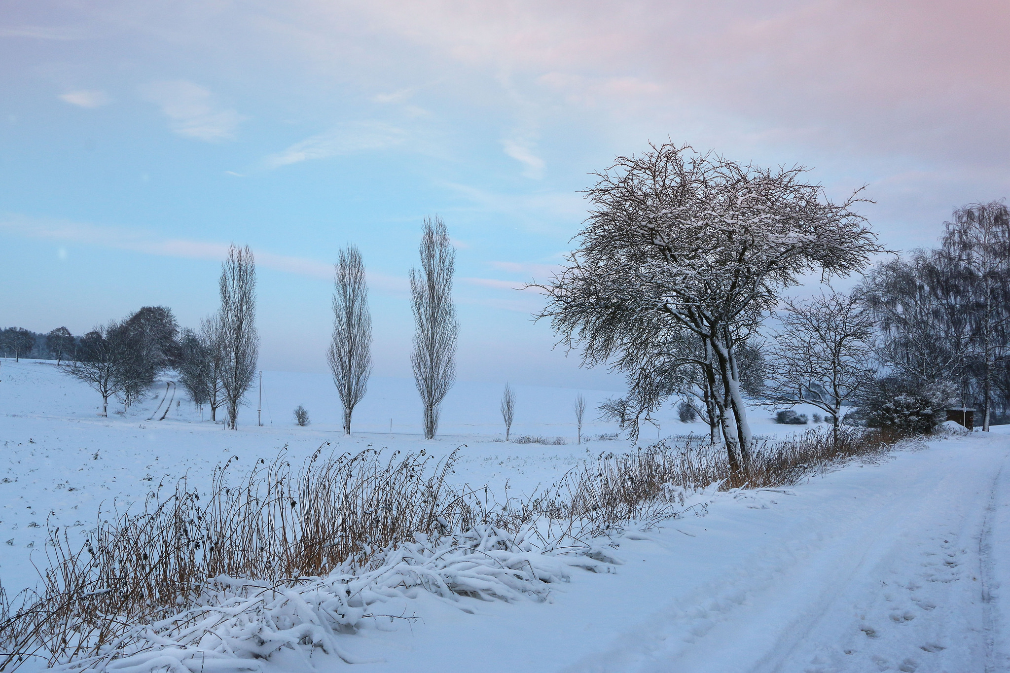 Free download wallpaper Winter, Snow, Road, Tree, Earth on your PC desktop