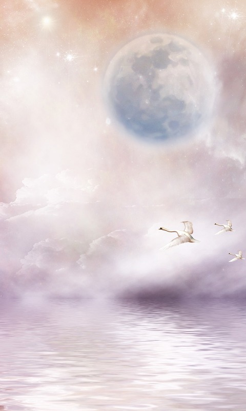 Download mobile wallpaper Water, Fantasy, Moon, Bird, Swan, Cloud, Fantasy Animals for free.