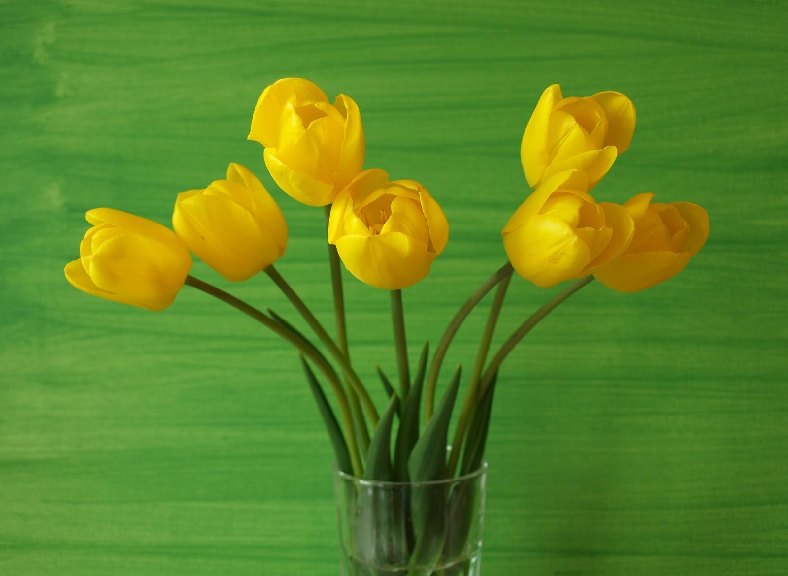 Download mobile wallpaper Flowers, Vase, Background, Tulips for free.