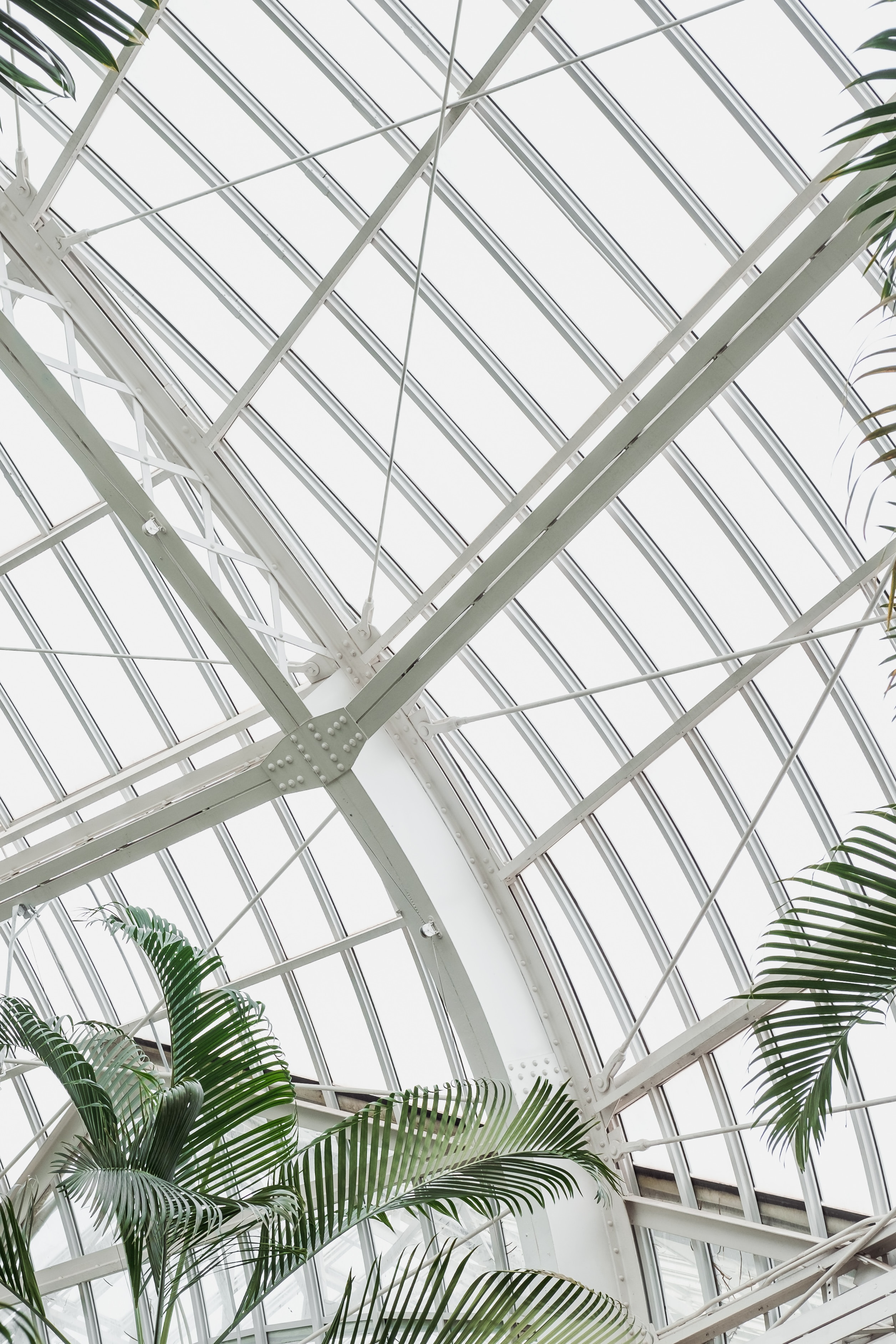 greenhouse, plant, building, minimalism, palm, design, construction lock screen backgrounds