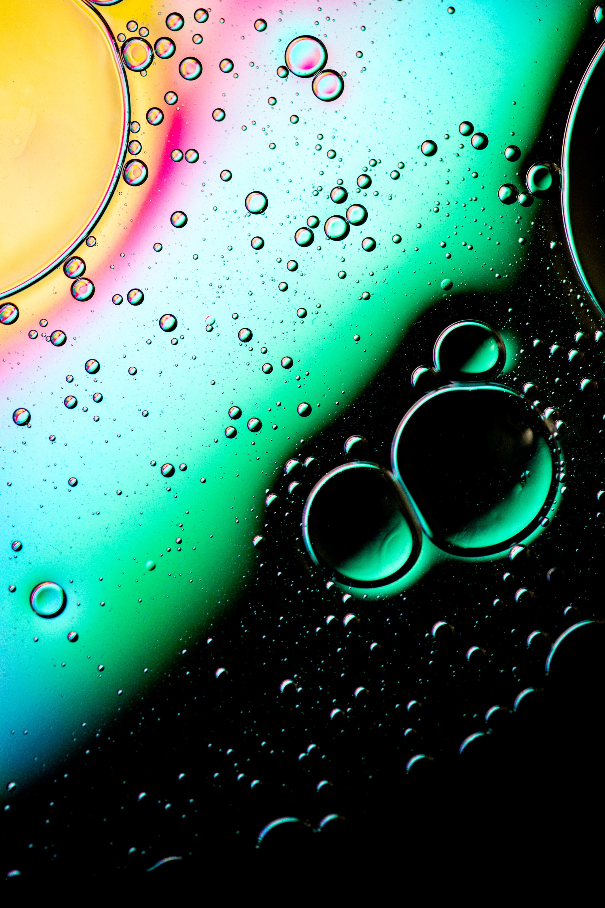 multicolored, abstract, water, bubbles, drops, motley, gradient 1080p