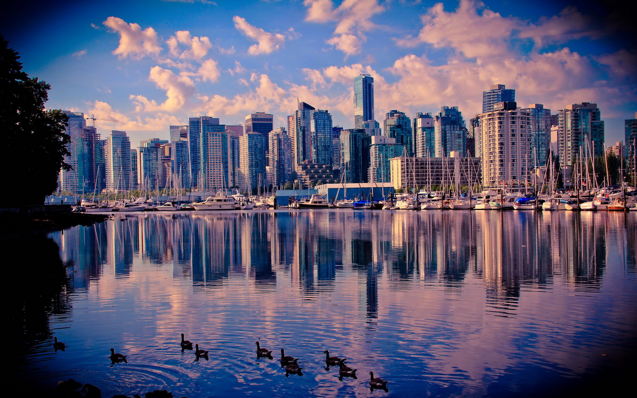 vancouver, canada, man made, city, cityscape, cities