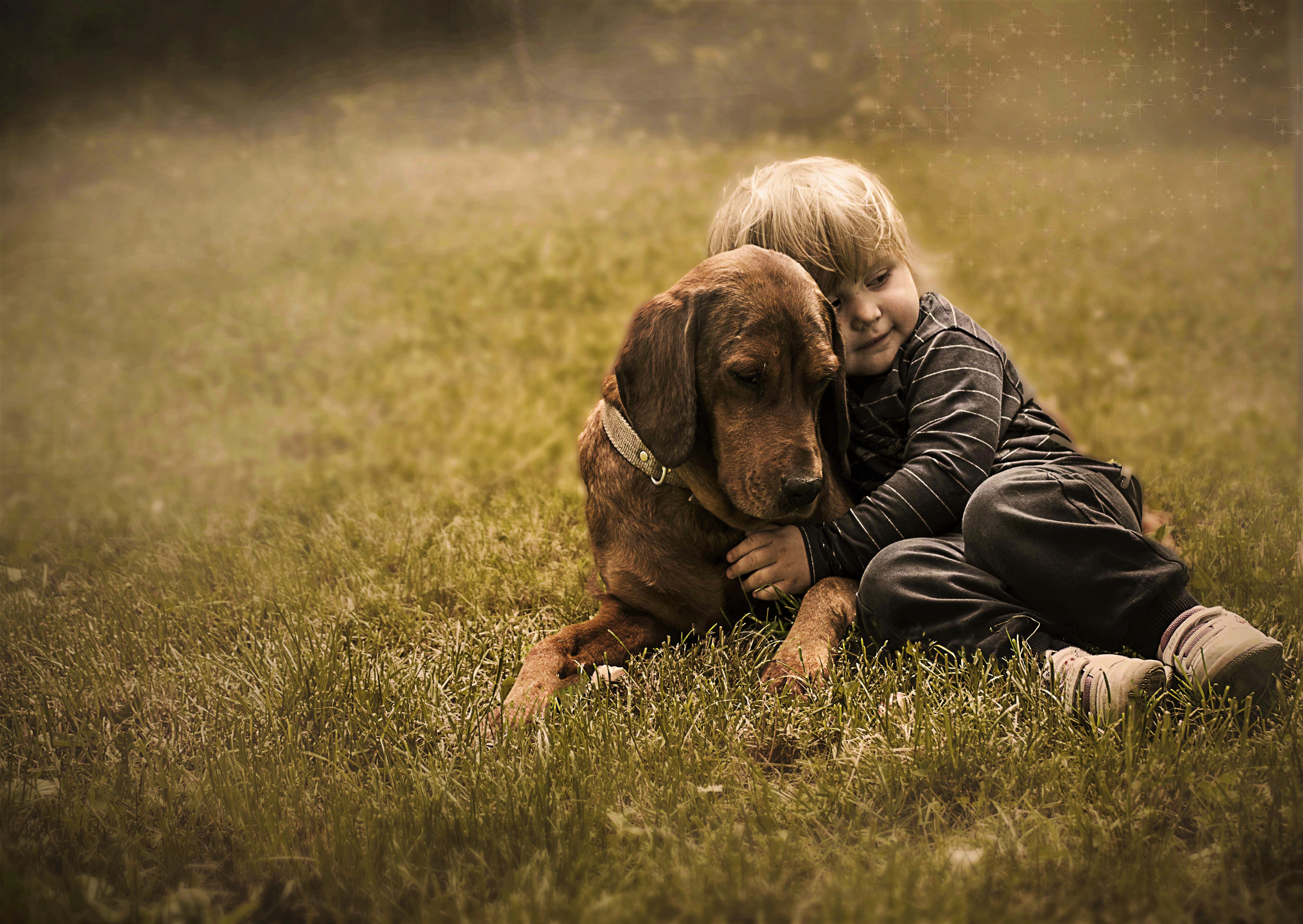 Мальчик с собакой фотосессия