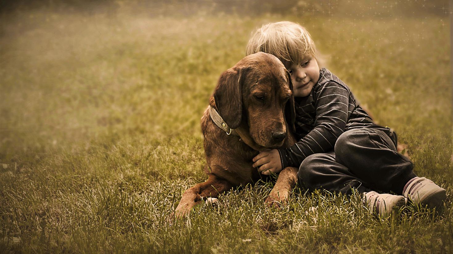 Трогательный мир. Собака для детей. Мальчик с собакой. Человек обнимает собаку. Собака картинка для детей.