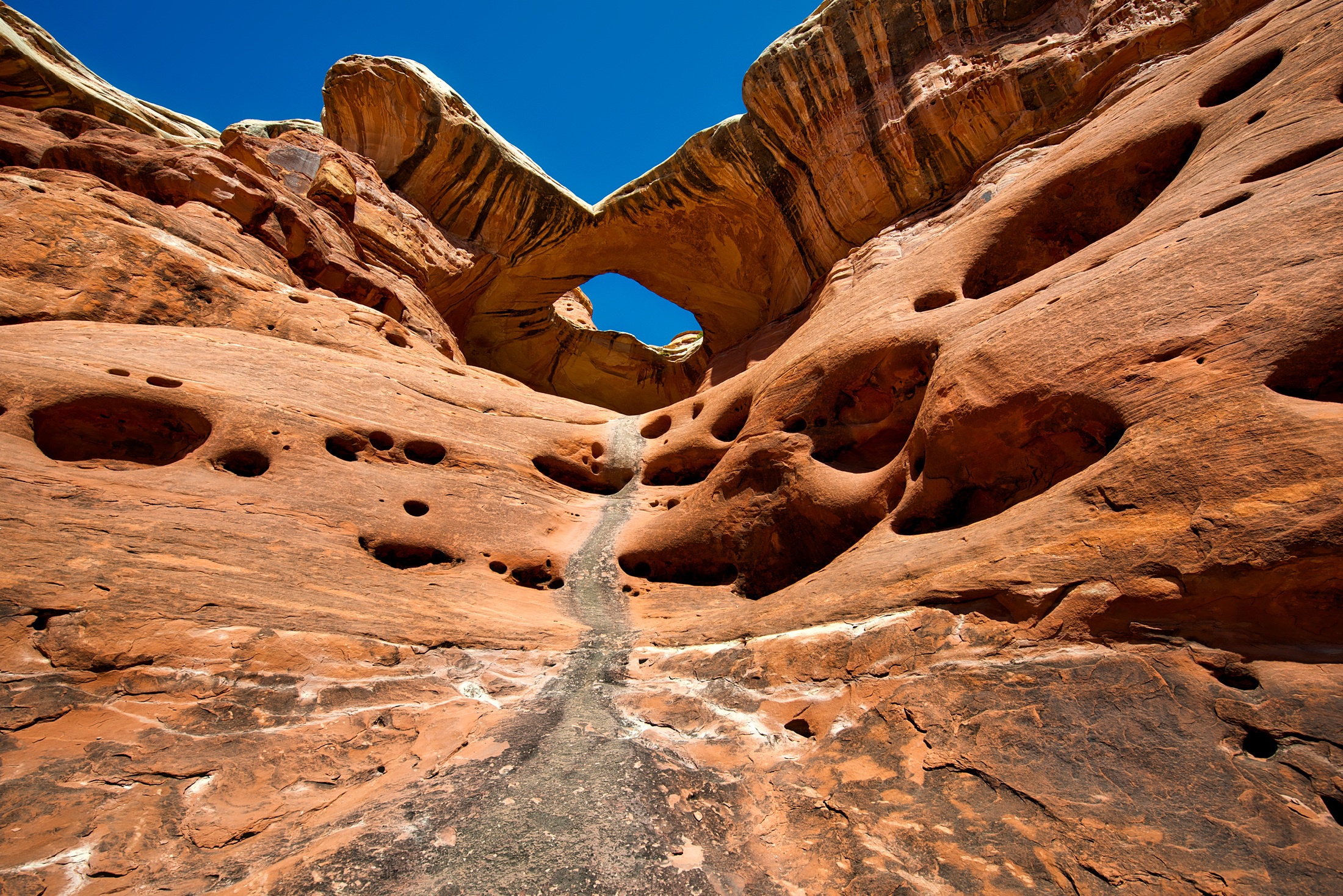 Background Image of The sun rising under Mesa Arch, Canyonlands National