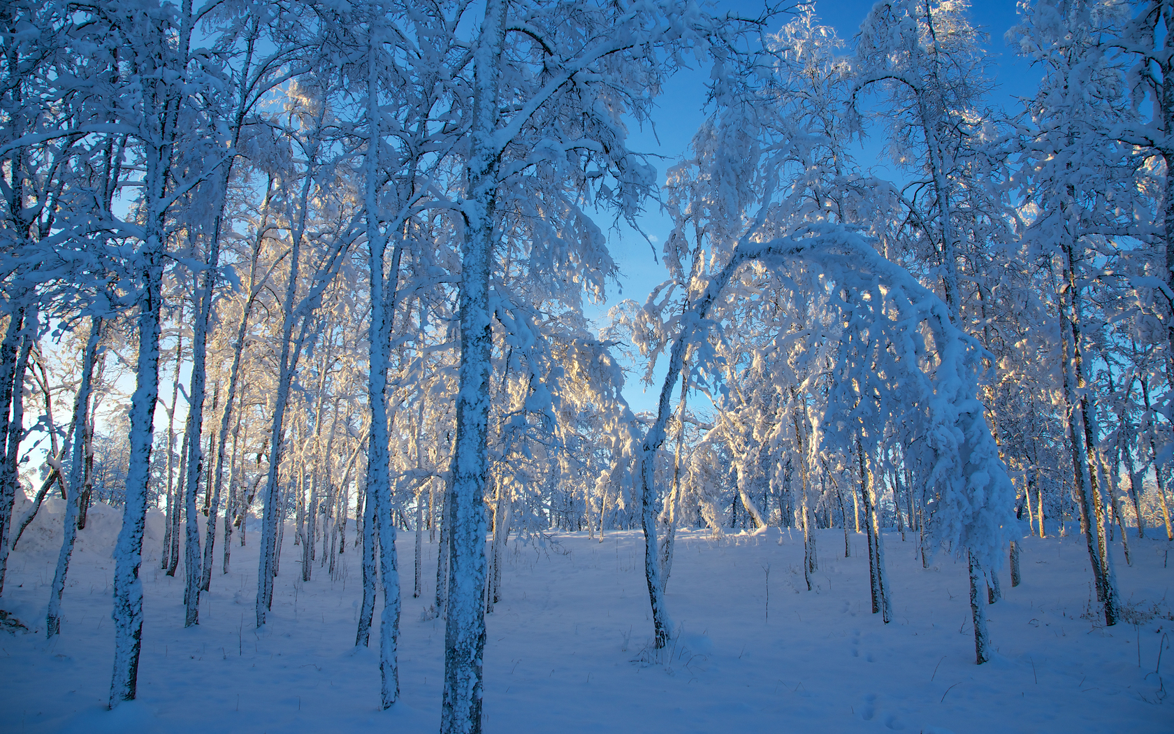 無料モバイル壁紙風景, 雪, 冬をダウンロードします。