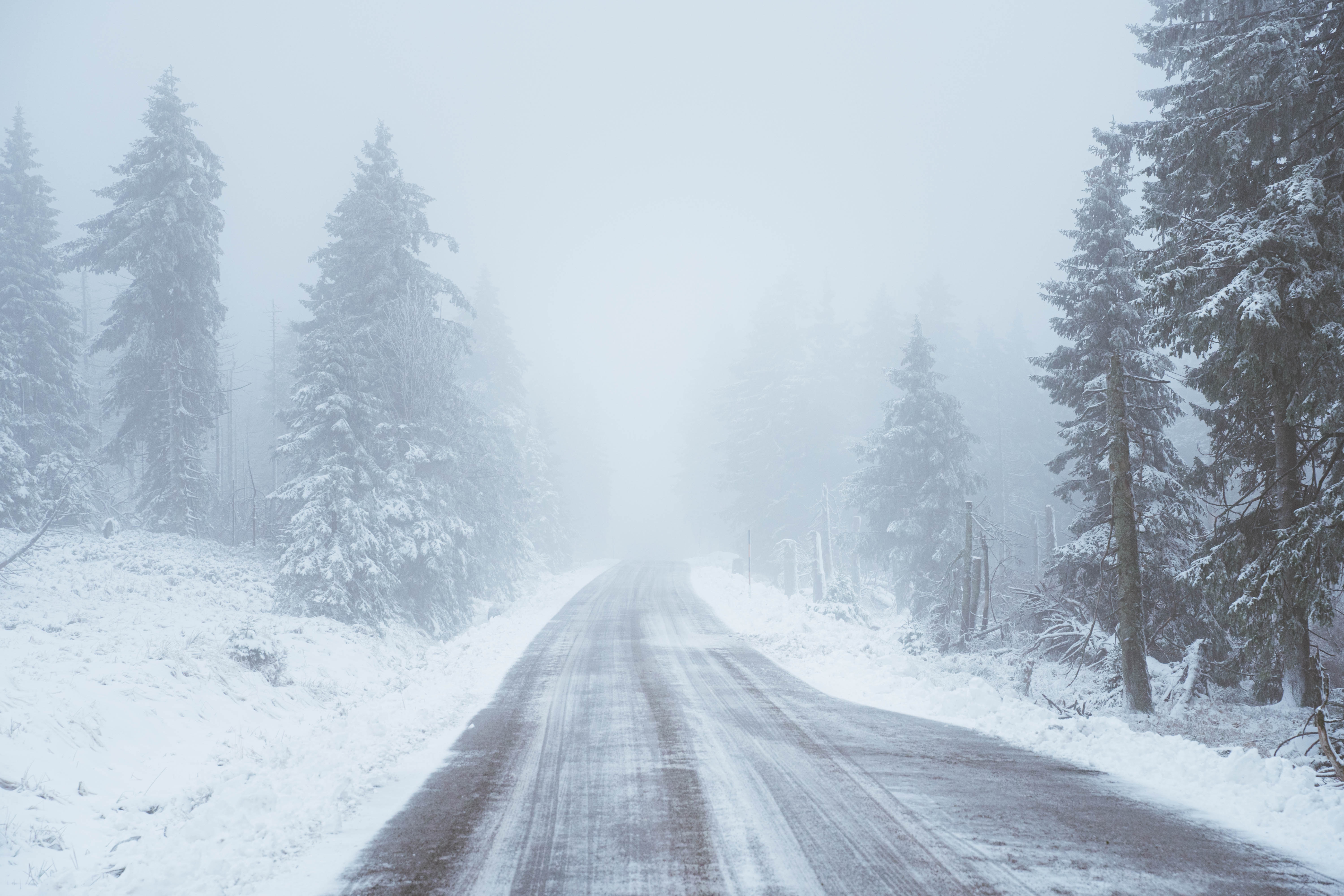 Full HD Wallpaper snow, winter, nature, trees, road, snowstorm