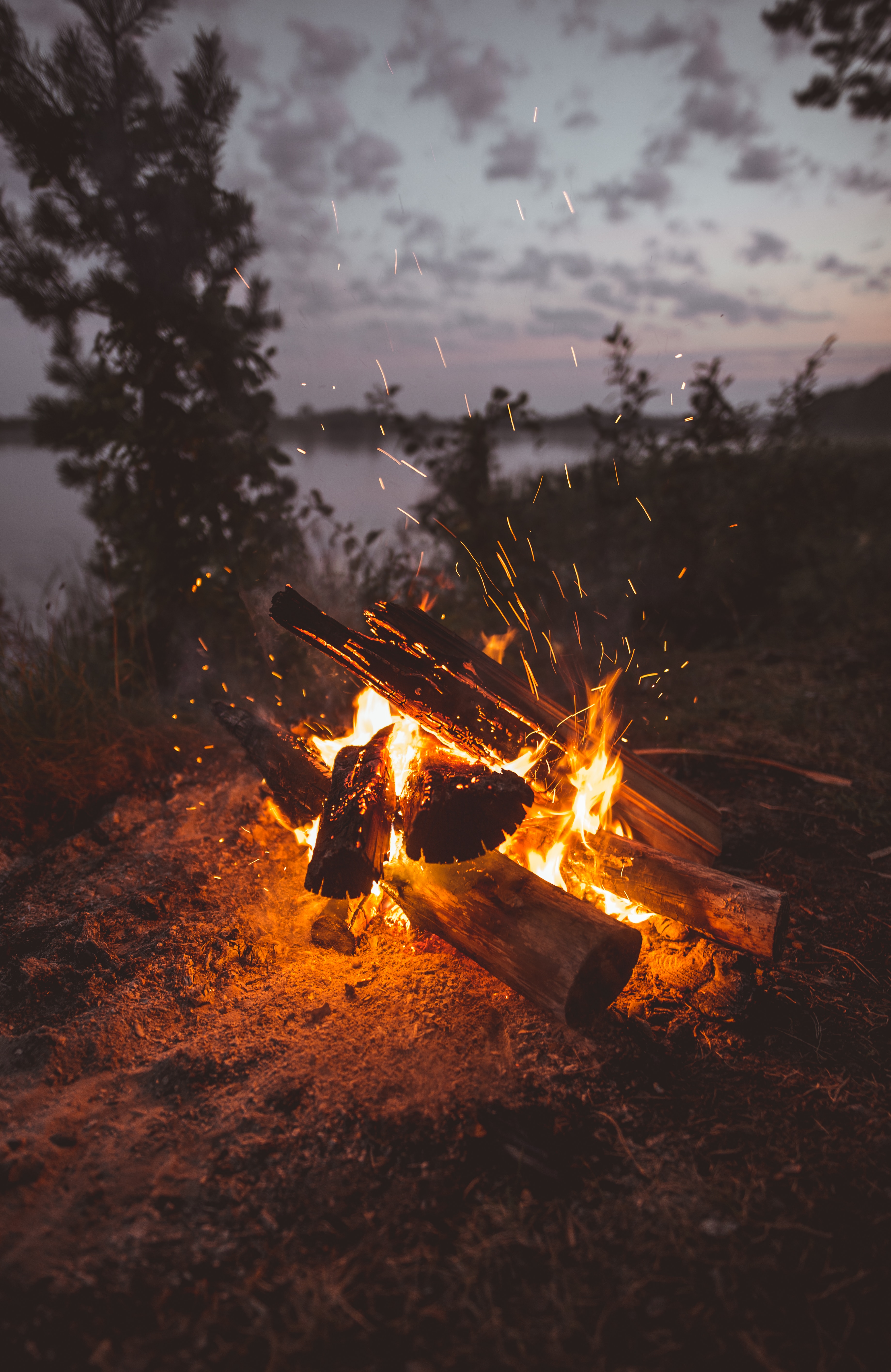 Free HD sparks, firewood, bonfire, dark, fire