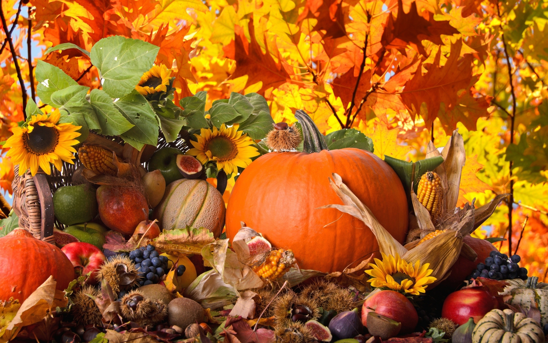 552020壁紙のダウンロードホリデー, 感謝祭, 秋, 花, 葉, 自然, シーズン-スクリーンセーバーと写真を無料で