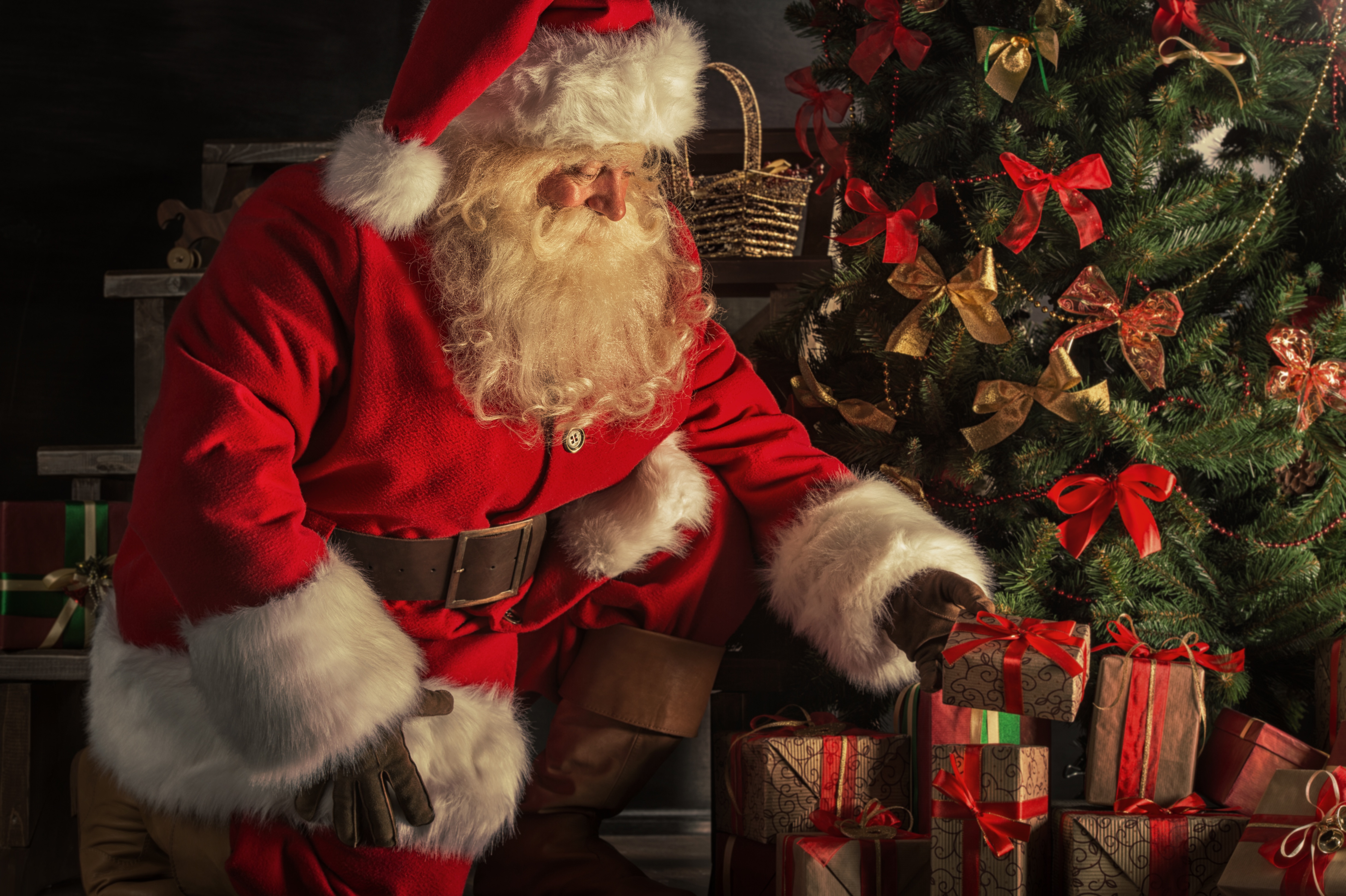 holiday, christmas, beard, gift, santa hat, santa