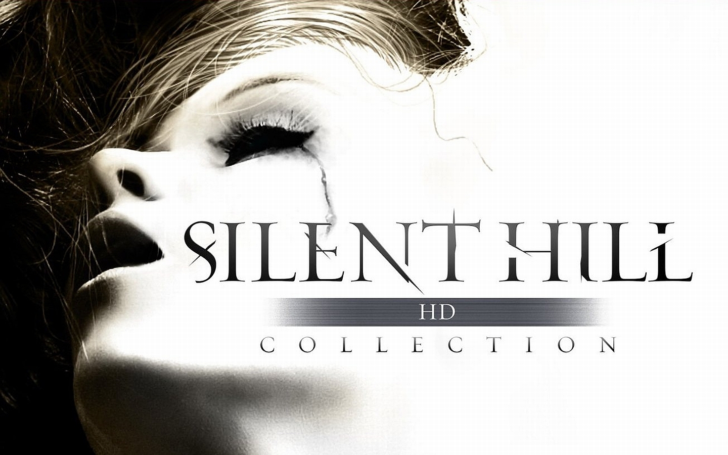 Silent hill hd collection steam фото 16