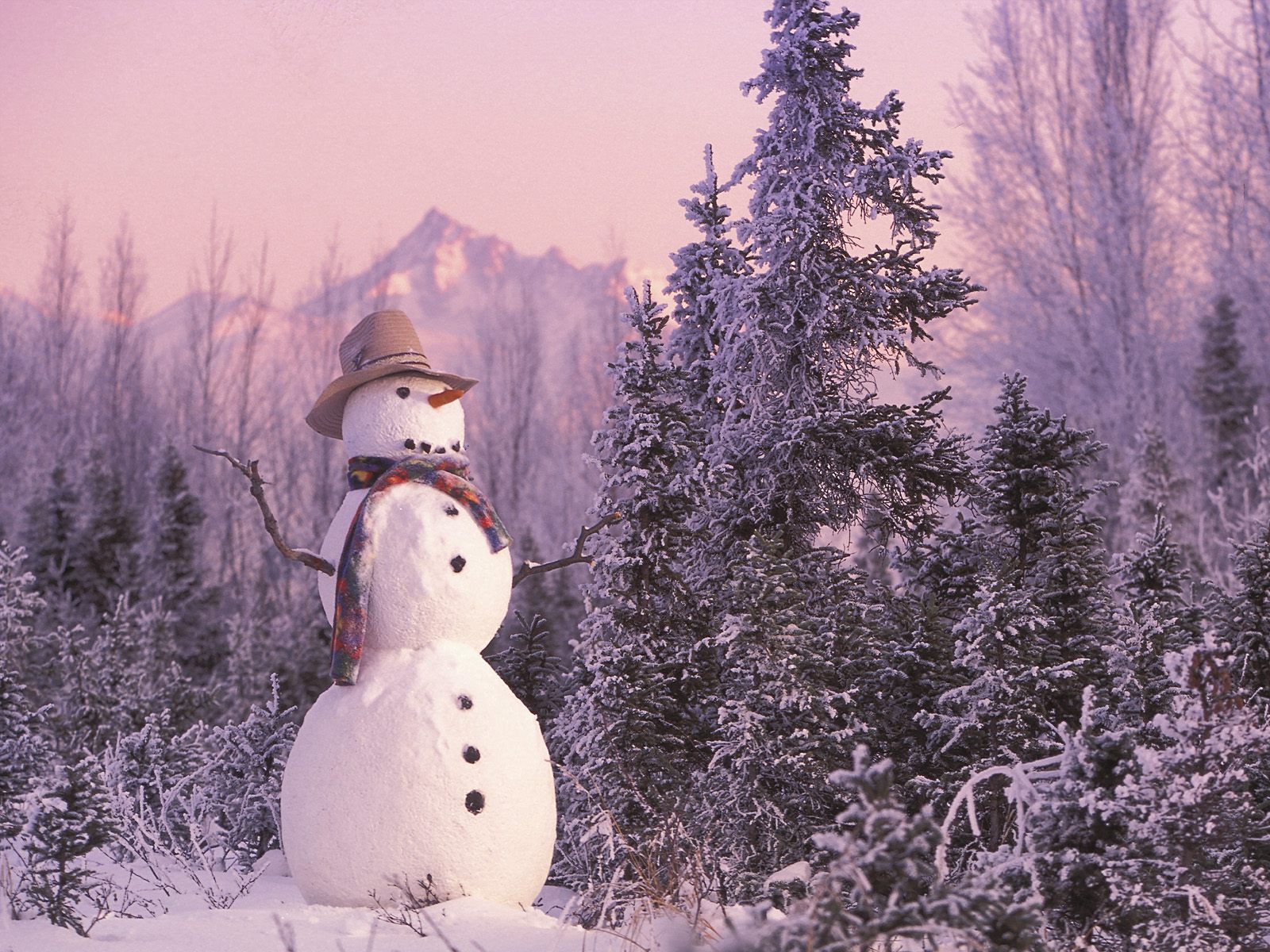 Cool snowman pics. Cool snowman iPad . Snowman , Christmas , Snowmen,  Country Snowman HD phone wallpaper | Pxfuel