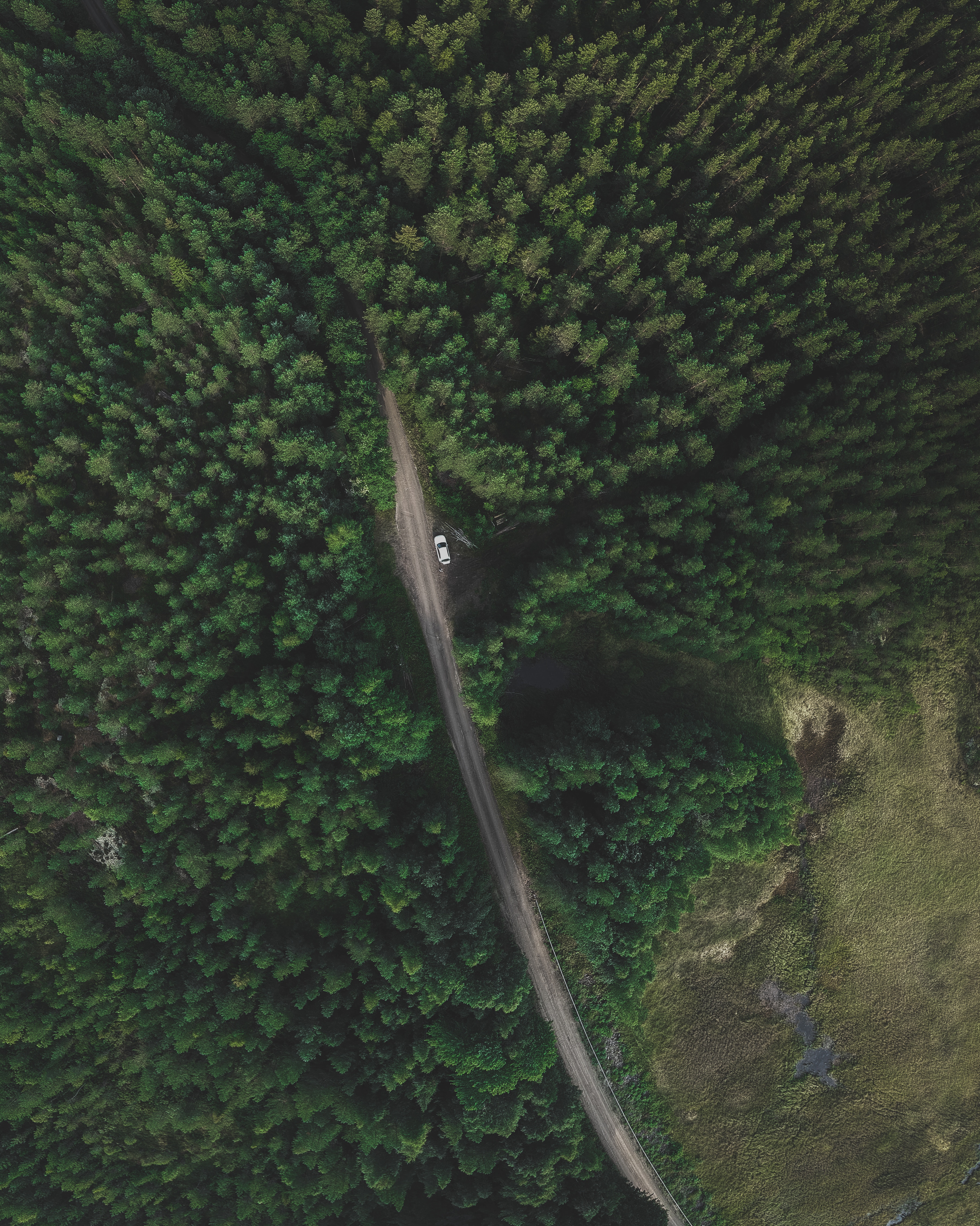 Free download wallpaper Nature, Trees, View From Above, Road, Forest, Traffic, Movement on your PC desktop