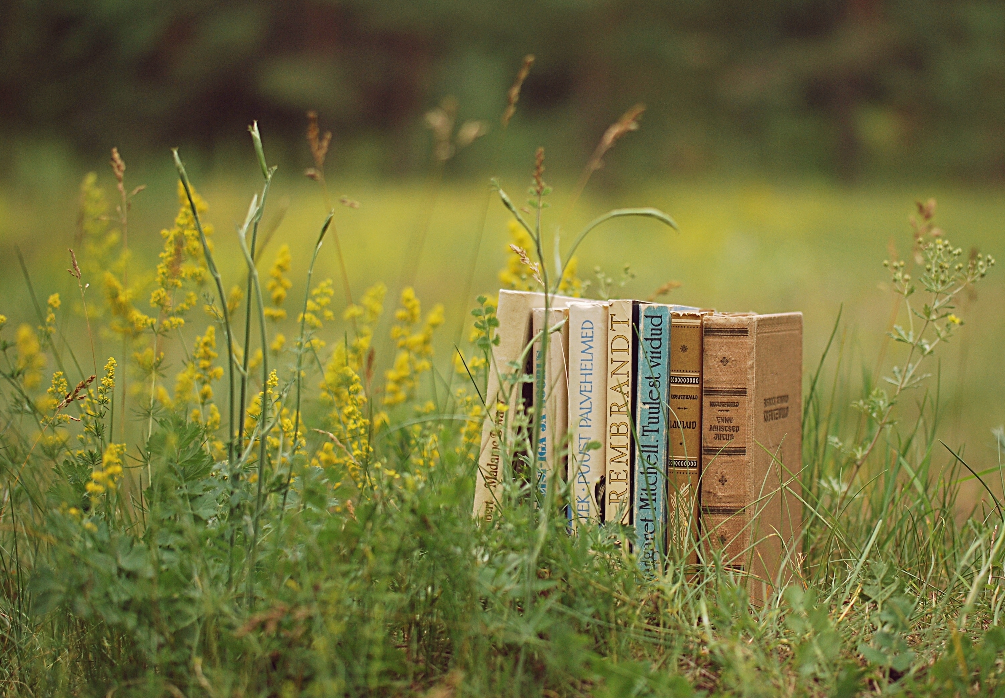 books, miscellanea, pile, grass, miscellaneous, mood, stack