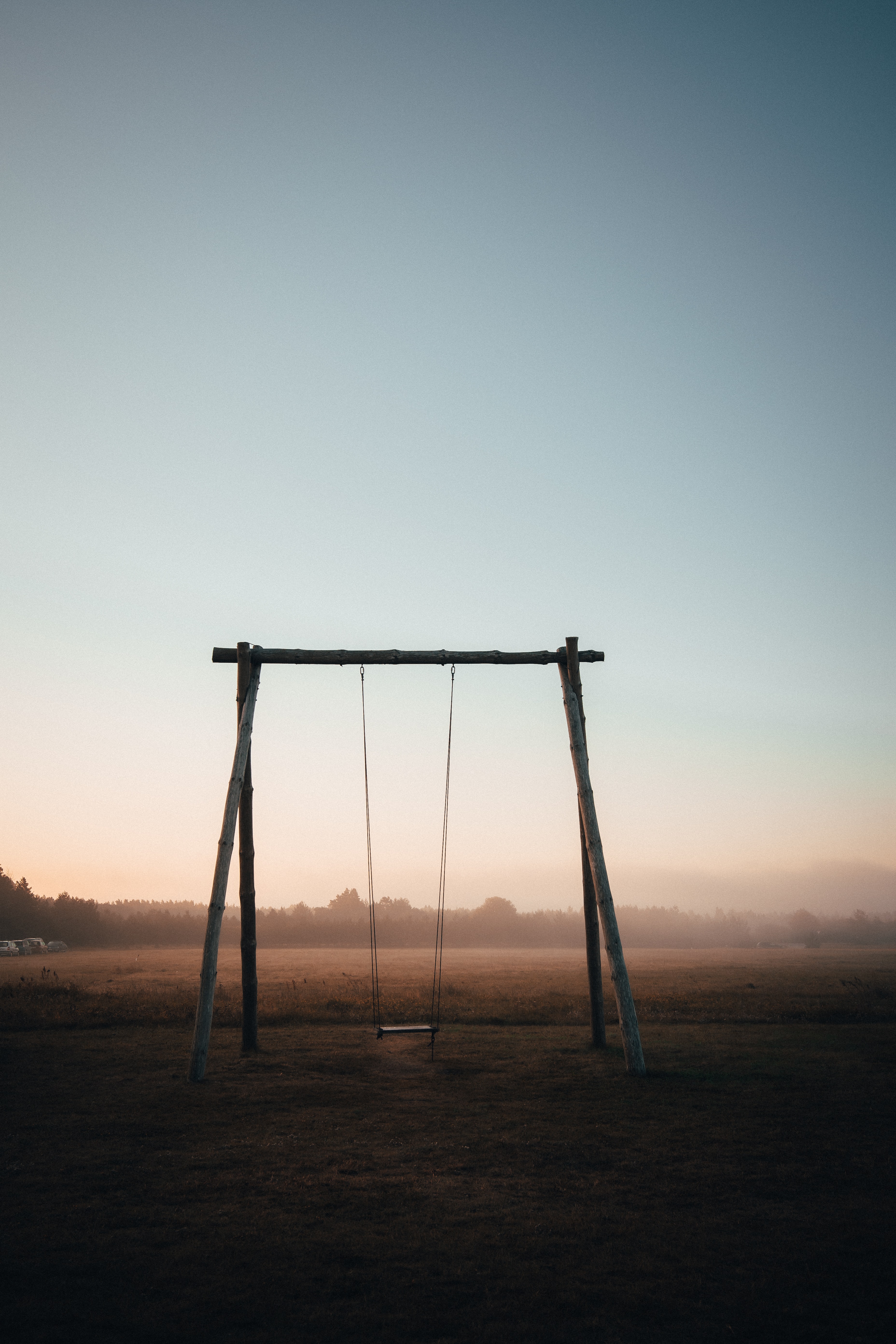 Download background swing, trees, miscellanea, miscellaneous, fog, field