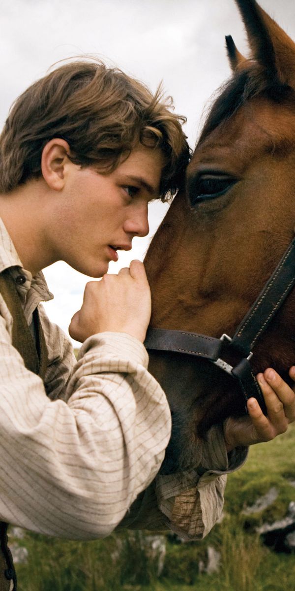 Про коня из кинофильма пацаны. Мальчик на лошади. Боевой конь картинки.