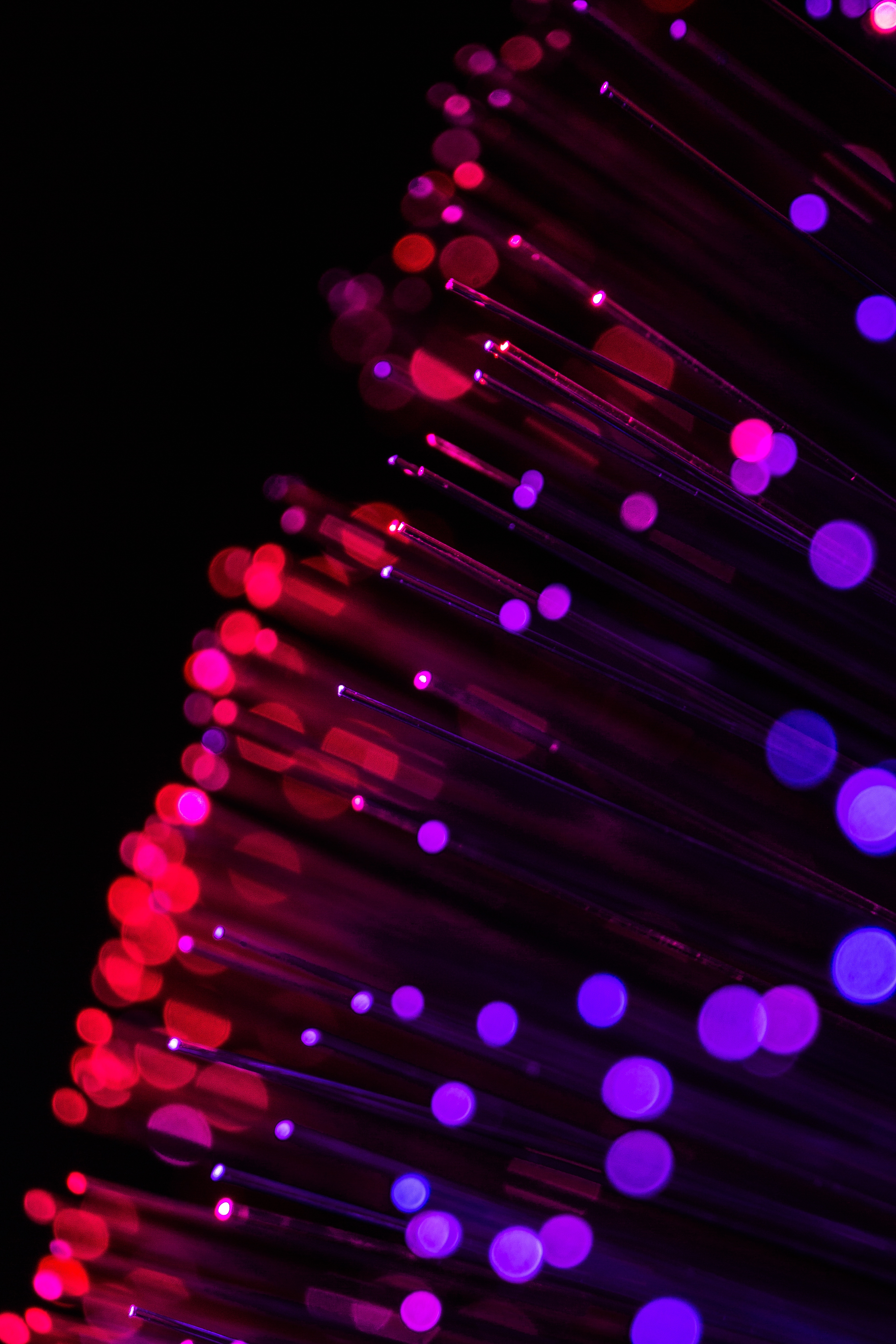 optical fiber, thread, brilliance, violet, red, macro, glare, shine, purple
