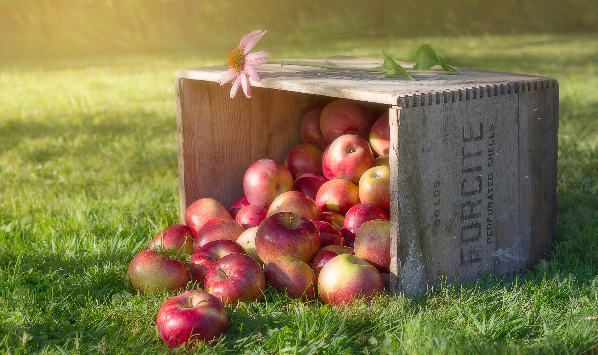 Яблоки в ящичках