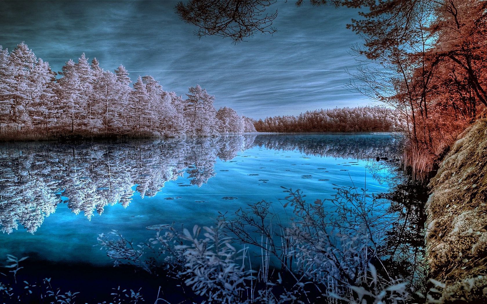 109694 Hintergrundbild herunterladen rauhreif, blau, natur, bäume, sky, weiß, see, reflexion, farbe, farben, frost, kalt, farbtöne, schattierungen - Bildschirmschoner und Bilder kostenlos