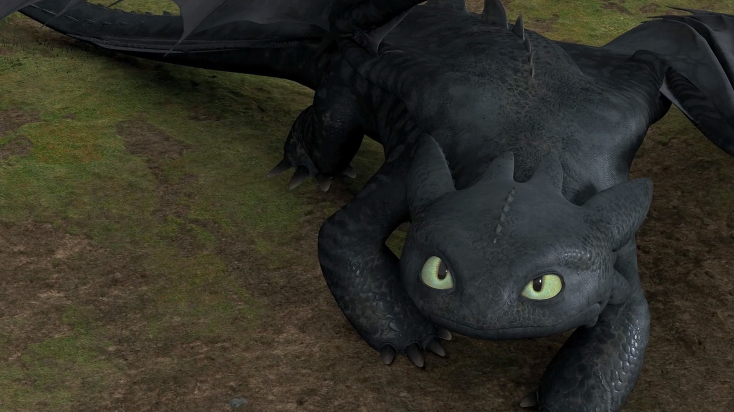 Фото дракона из мультфильма как приручить дракона