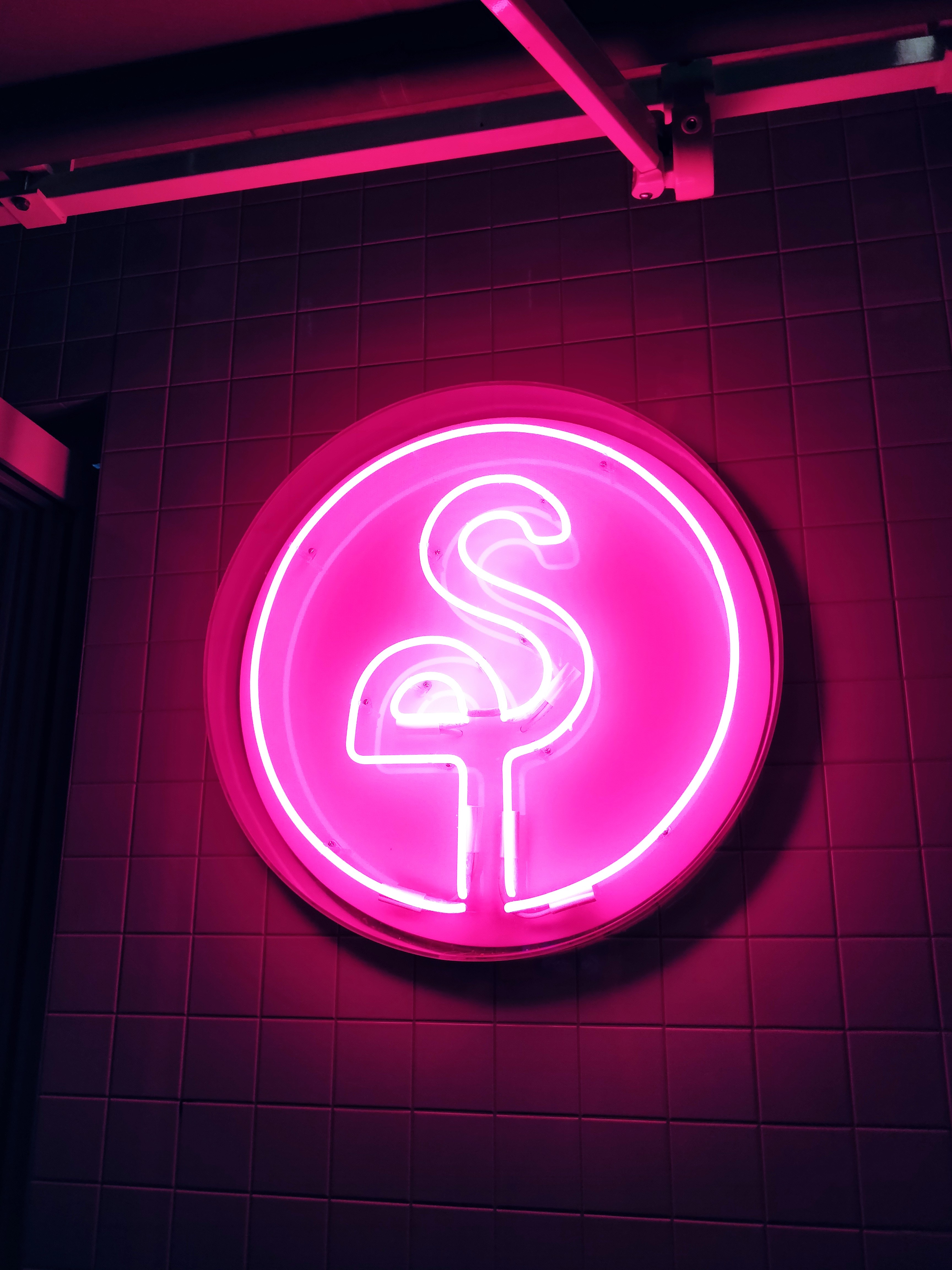 150246 Hintergrundbild herunterladen rosa, flamingo, zeichen, verschiedenes, sonstige, schild, neon, glühen, glow, elektrizität, strom - Bildschirmschoner und Bilder kostenlos