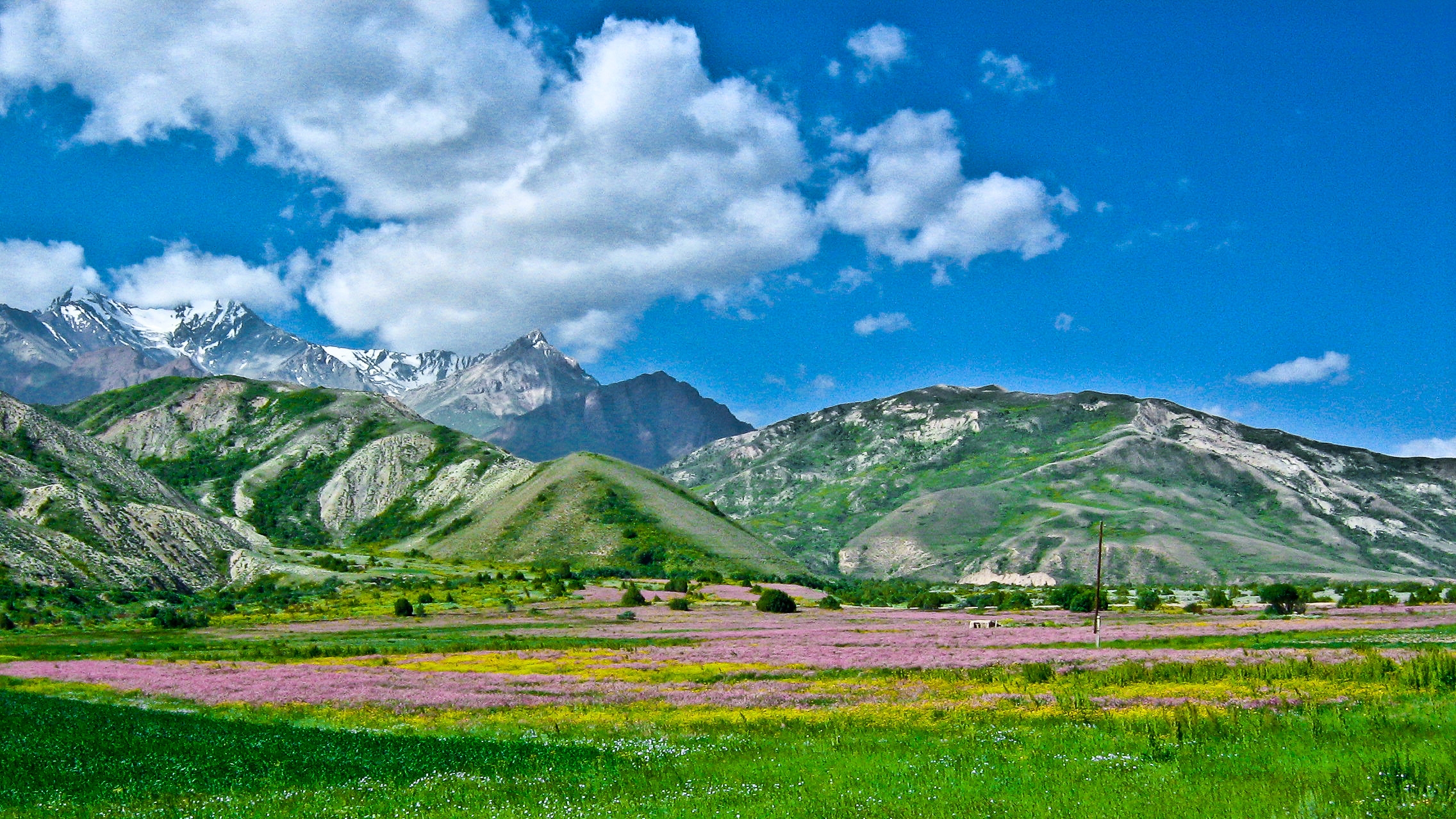 Скачати мобільні шпалери Південь, Алай, Киргизстан, Природа безкоштовно.