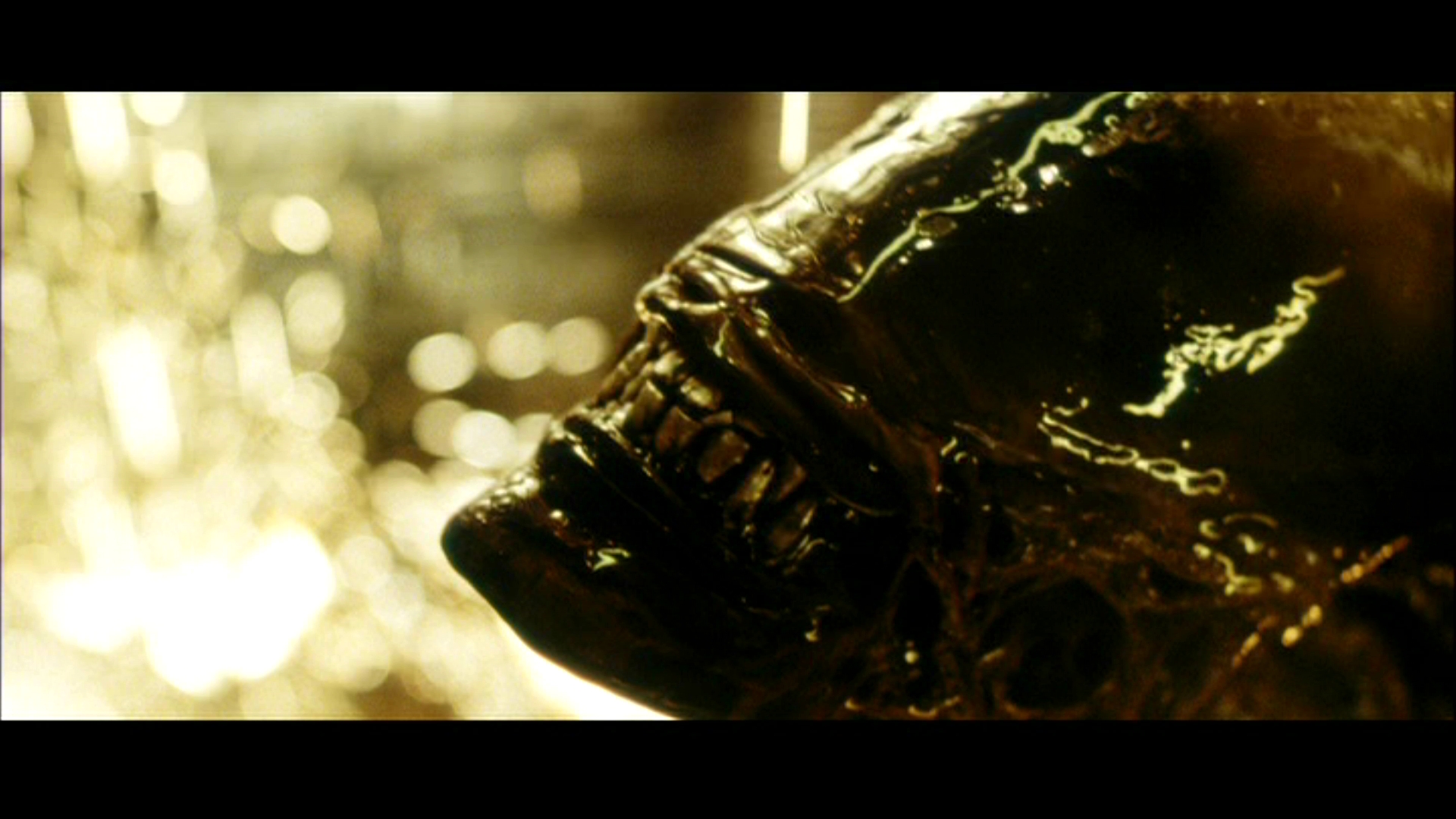 Descarga gratuita de fondo de pantalla para móvil de Alien: Resurrección, Extraterrestre, Películas.