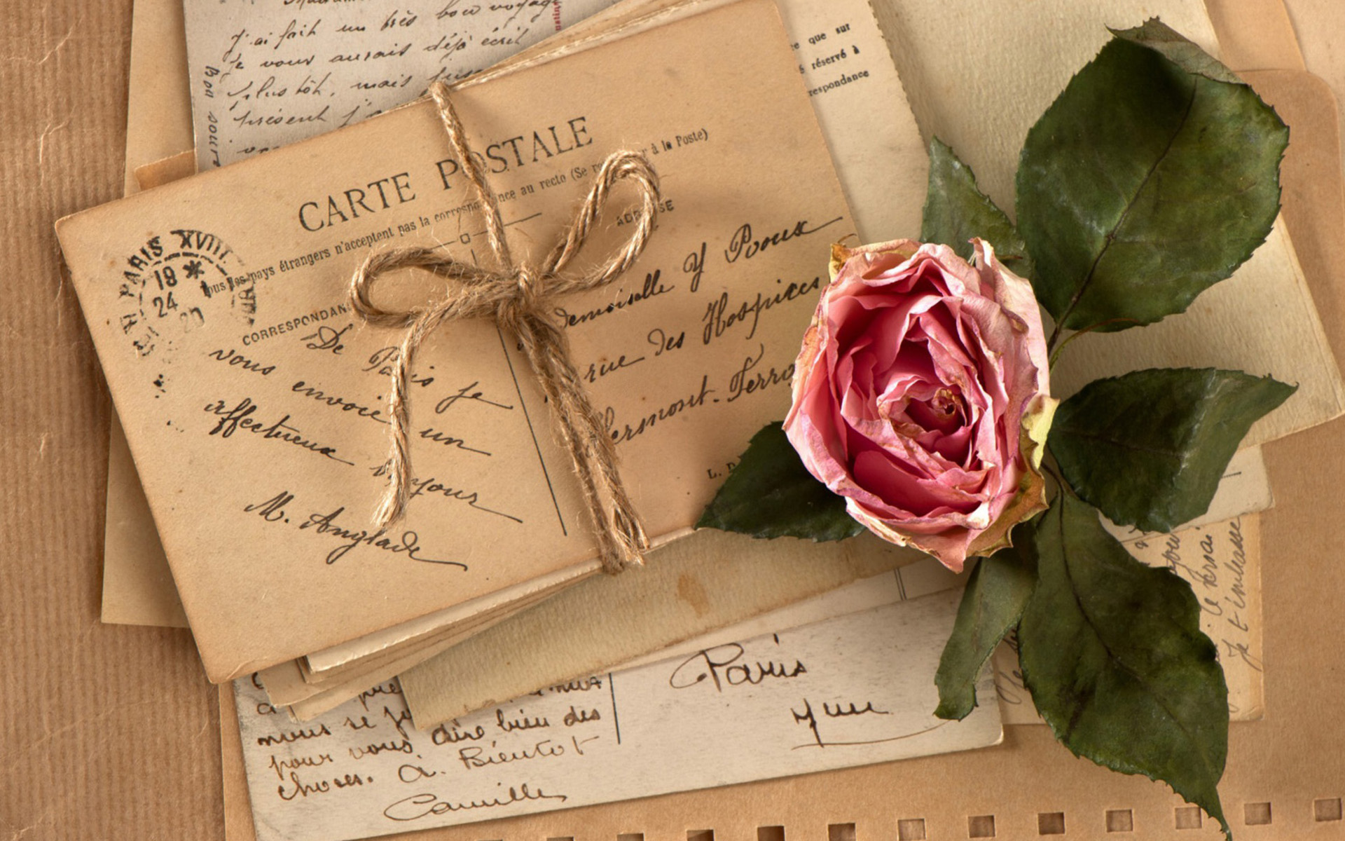 photography, vintage, letter, pink rose, postcard, rose 32K