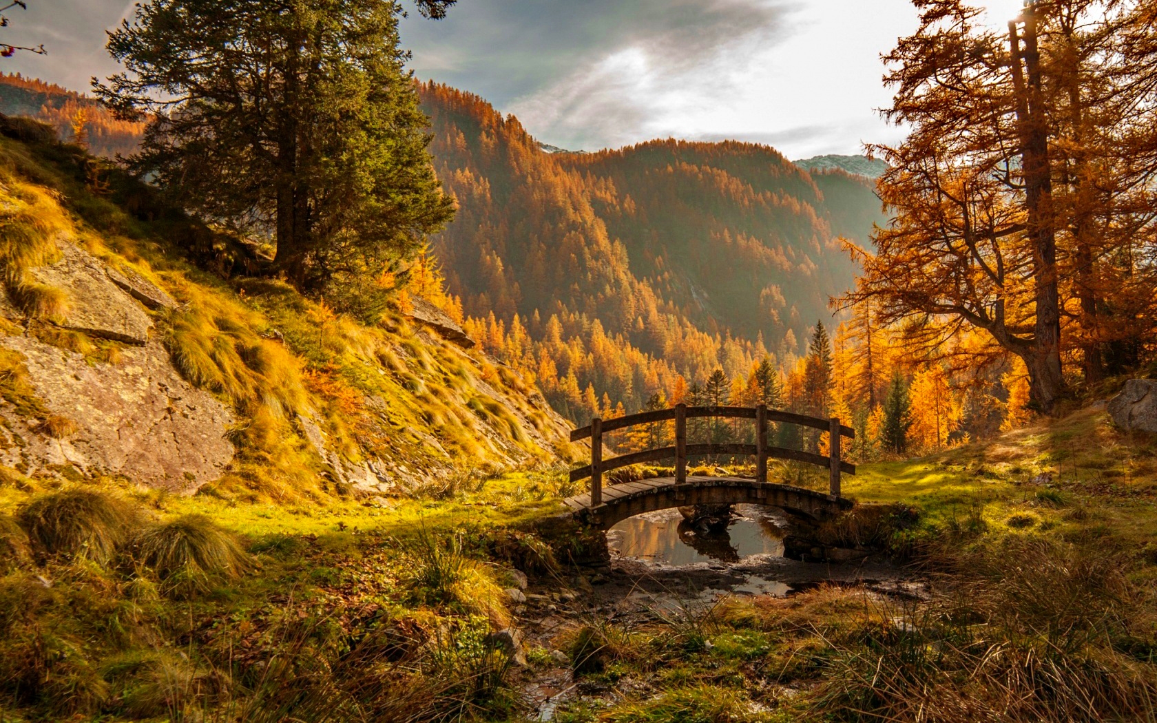 Горные пейзажи Швейцарии мост