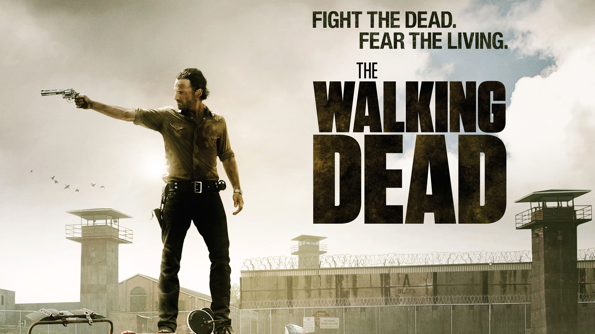 android rick grimes, tv show, the walking dead, andrew lincoln