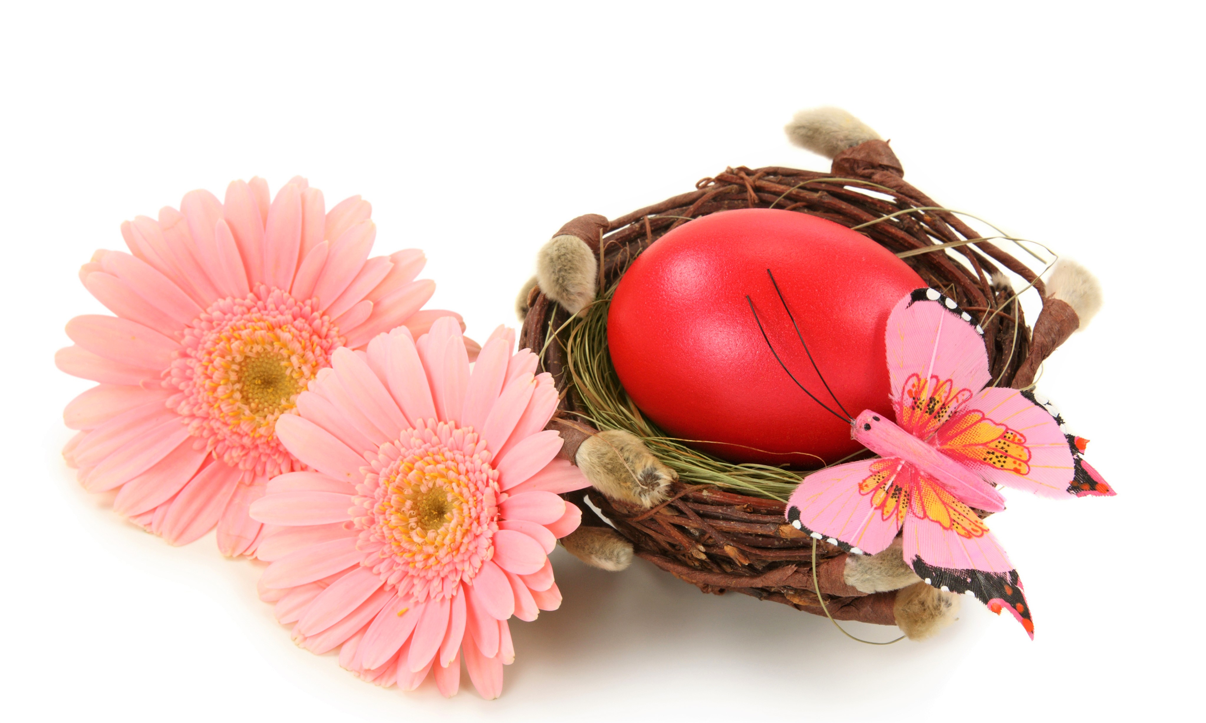 holiday, easter, easter egg, flower, gerbera, nest, pink flower