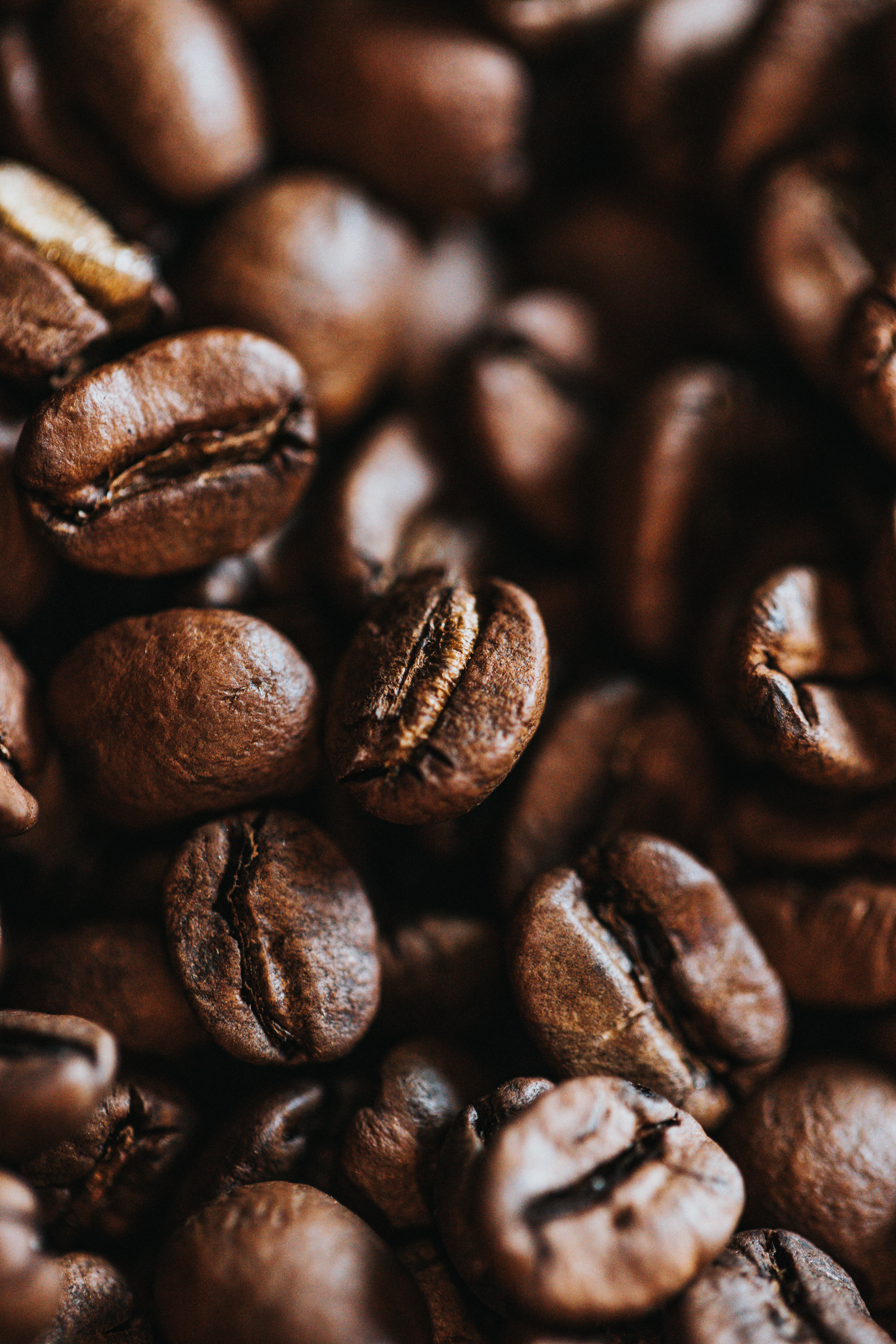 vertical wallpaper coffee beans, coffee, macro, brown, grains, grain